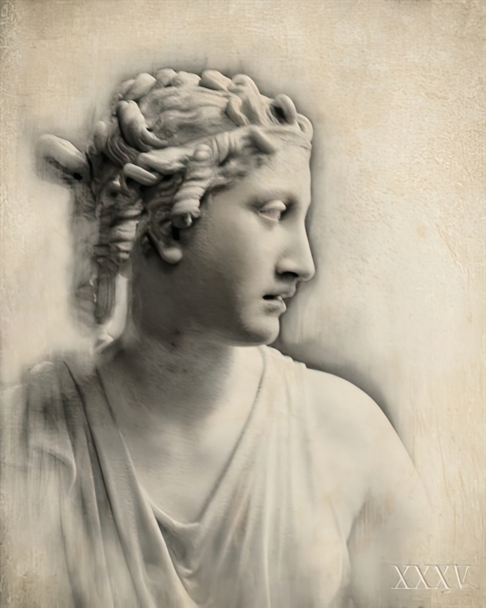 Classical Study - Aphrodite