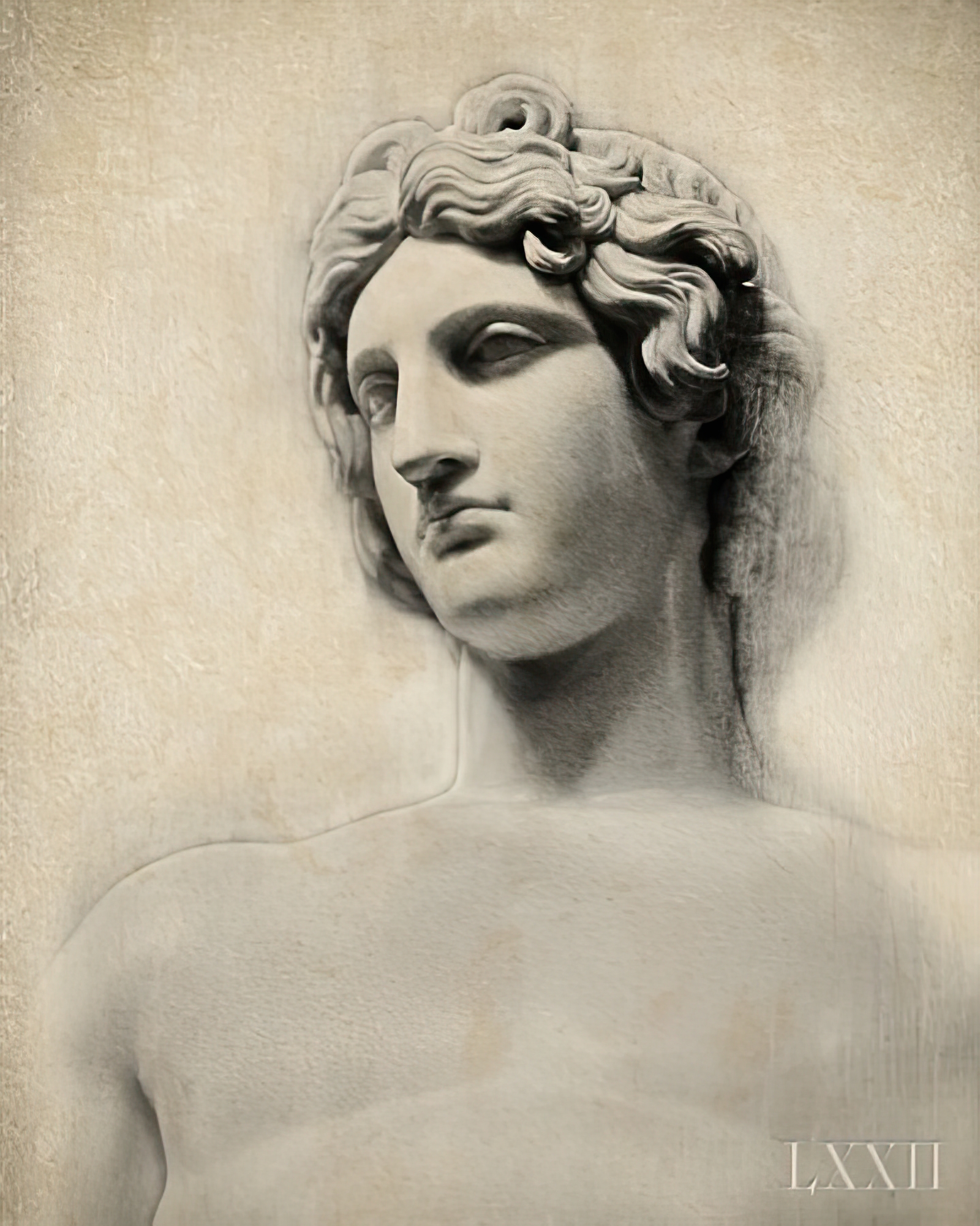 Classical Study - Adonis
