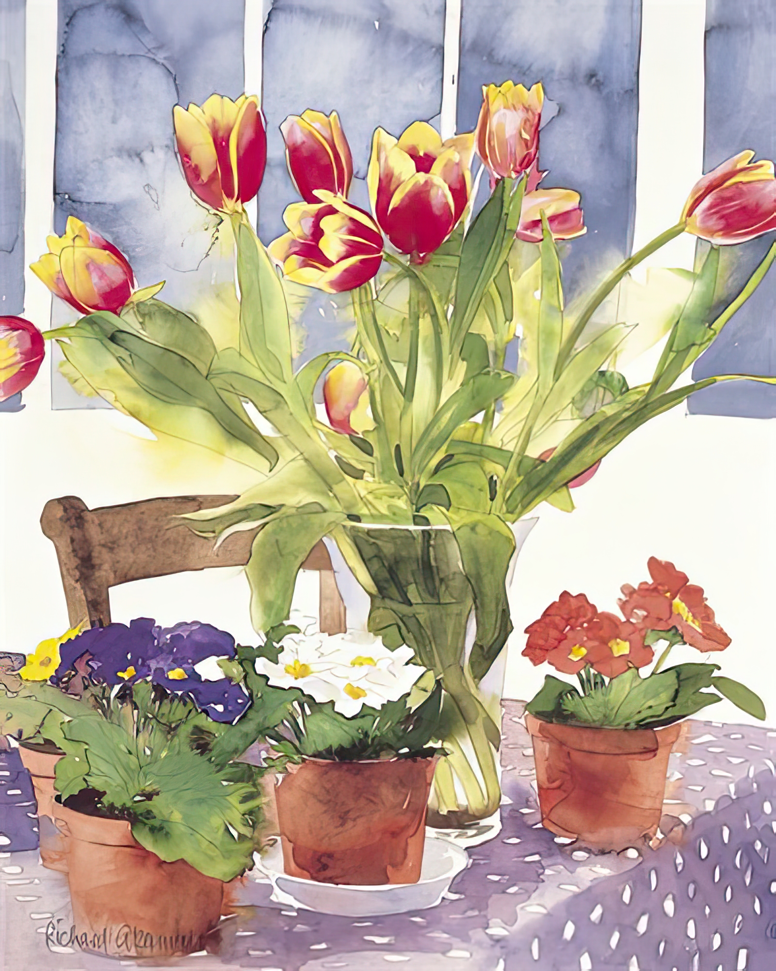 Tulips and Pimulas