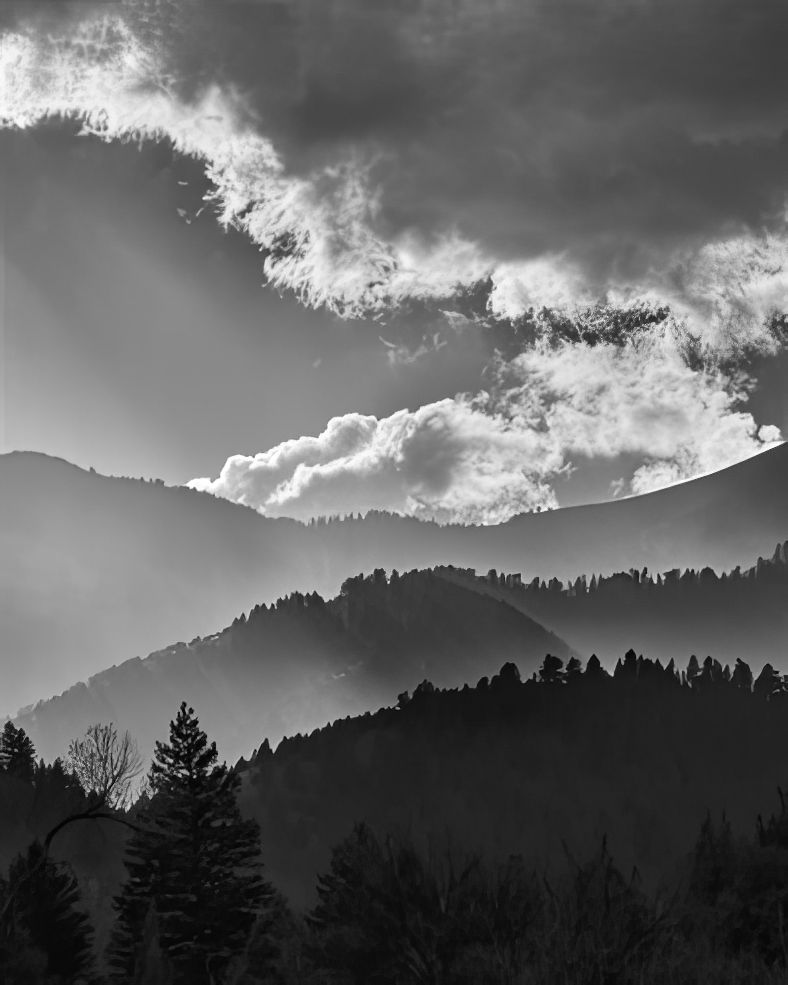 Zion View - detail
