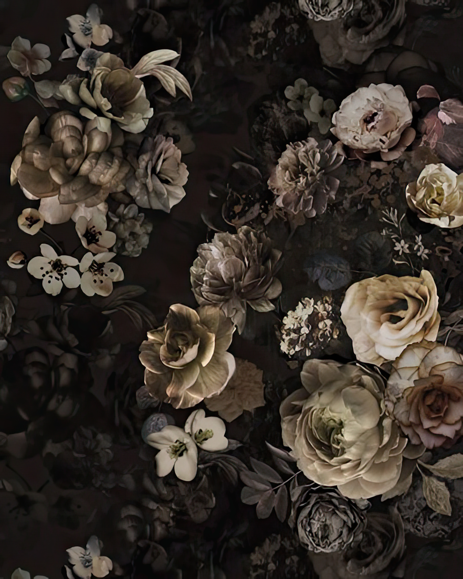 Fascinating Flora