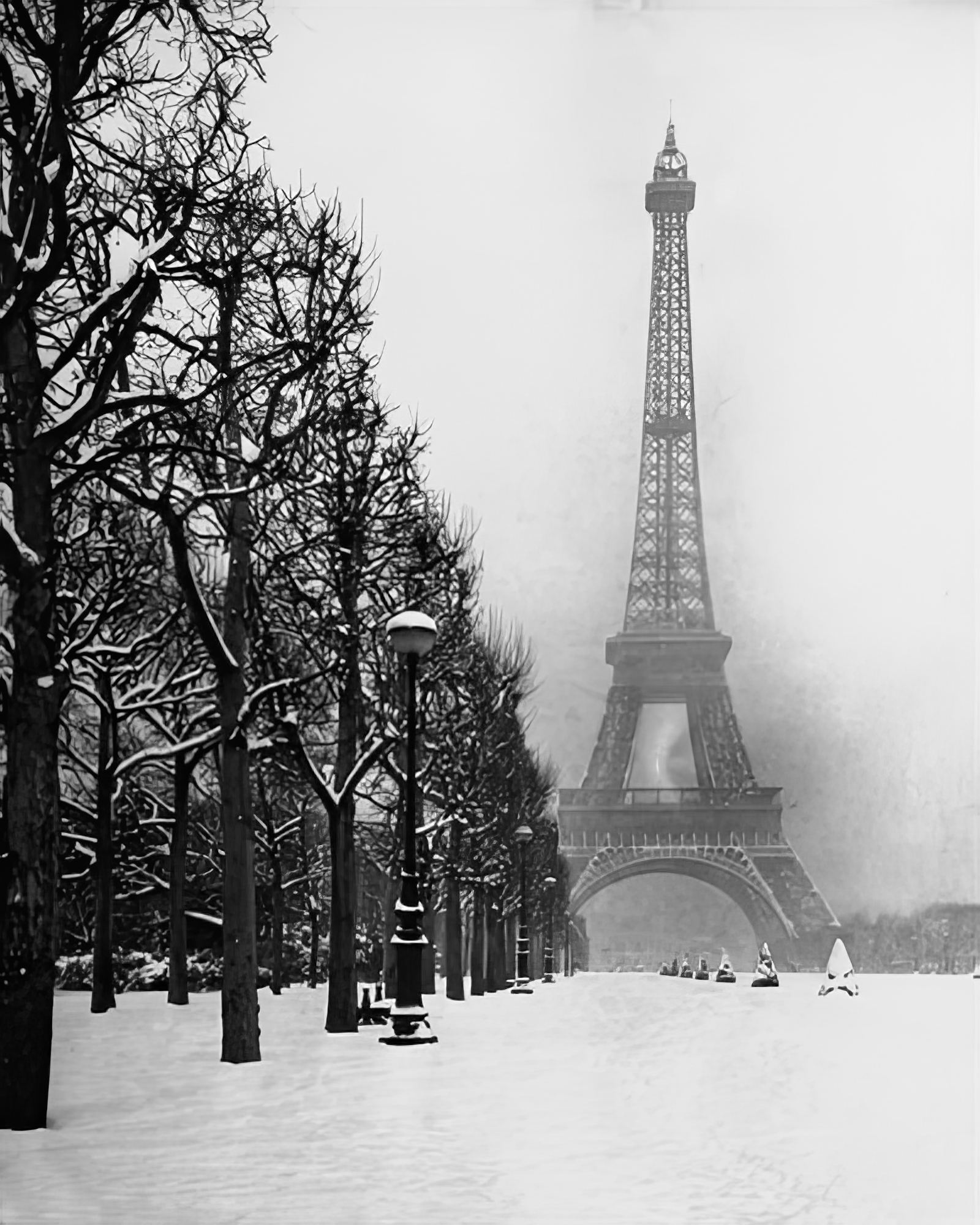 Winter Wonderment