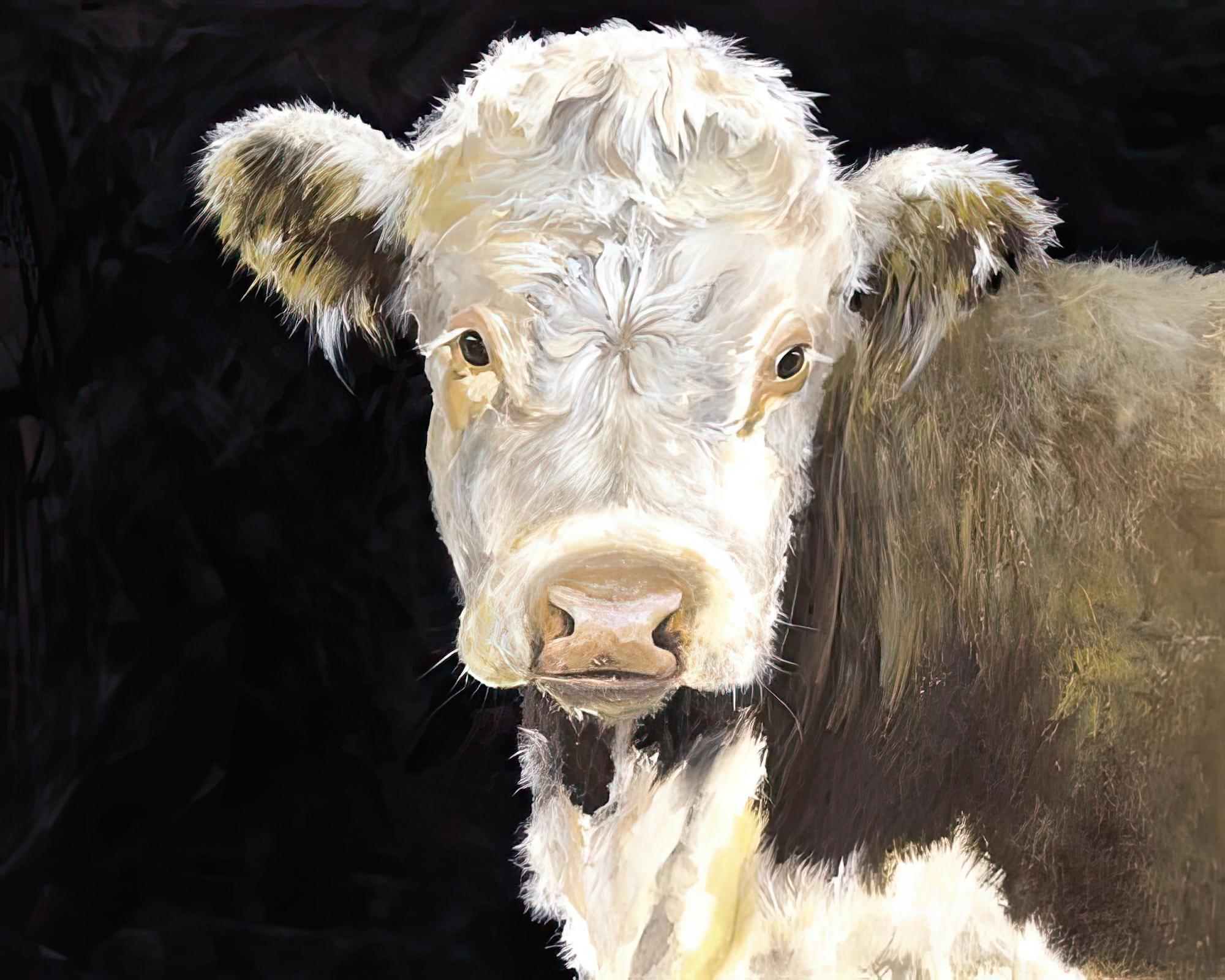 Hereford - Portrait