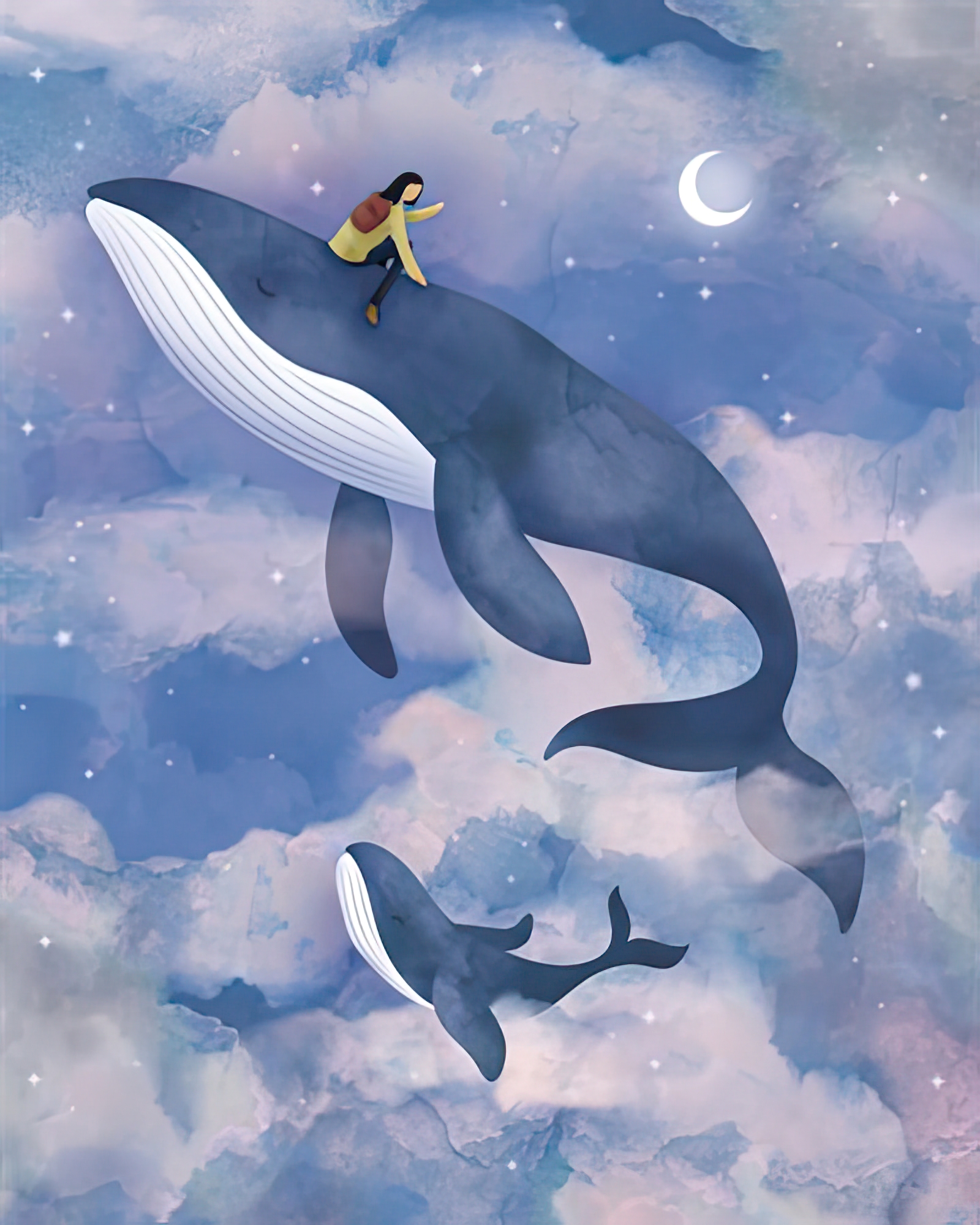 Surreal Adventures - Whale