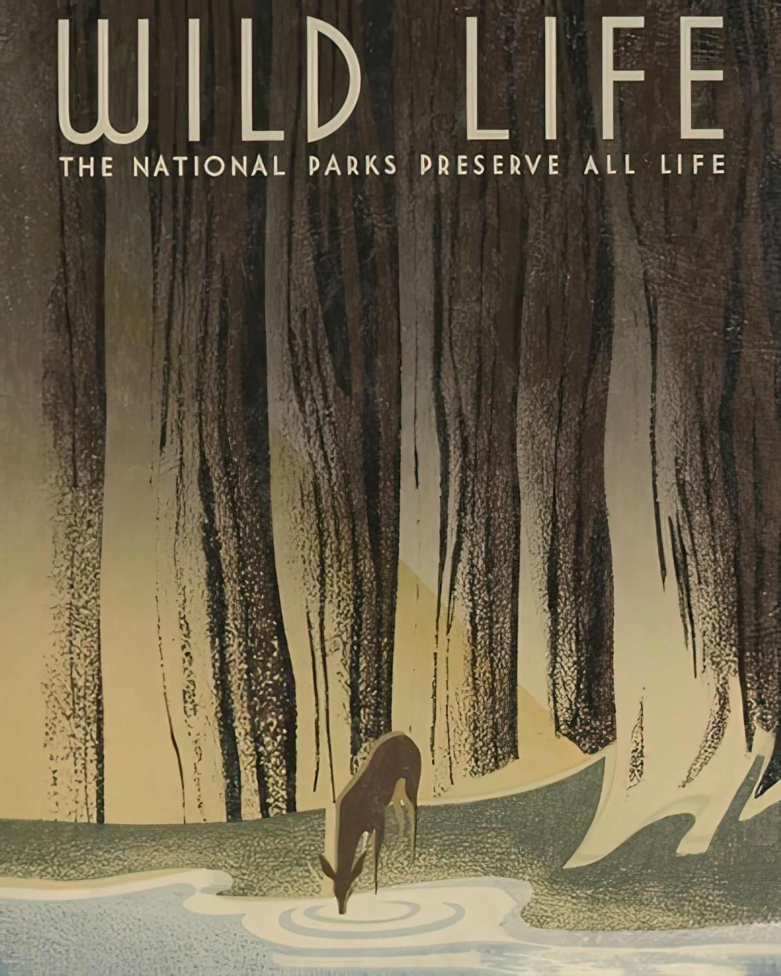 Wild Life