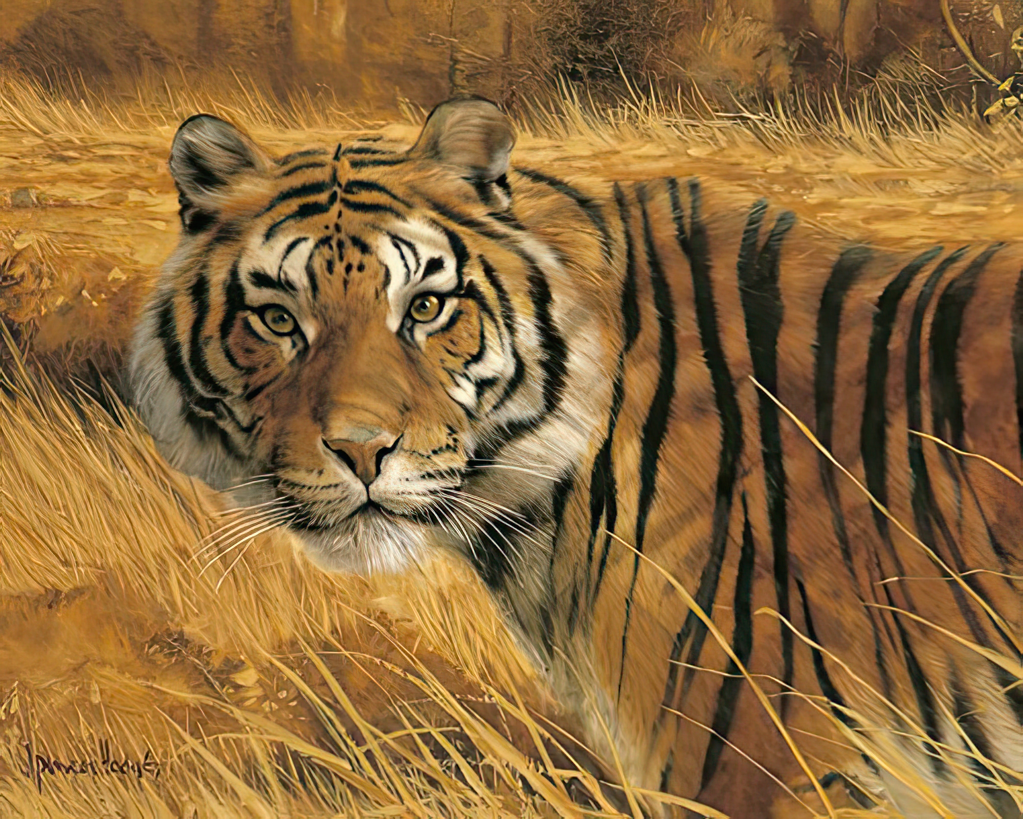 Savannah Alert