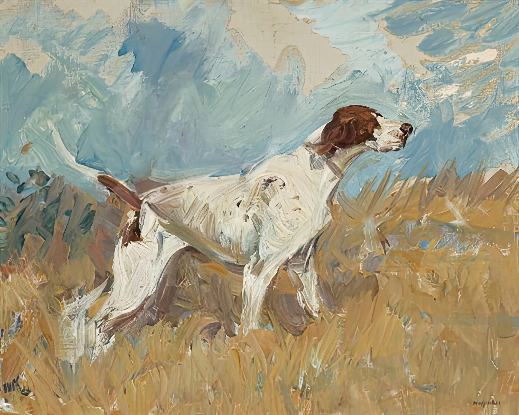 English Setter on Watch