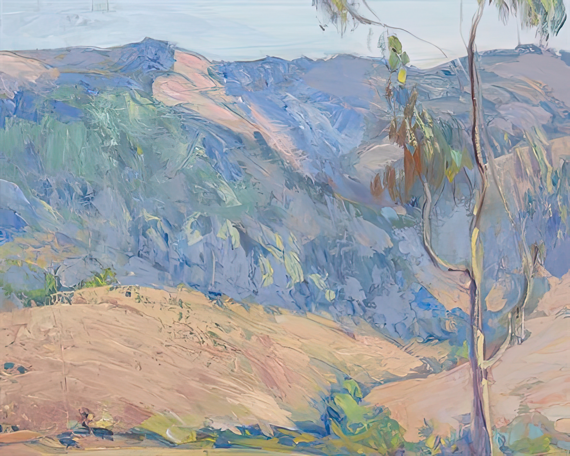California Hills