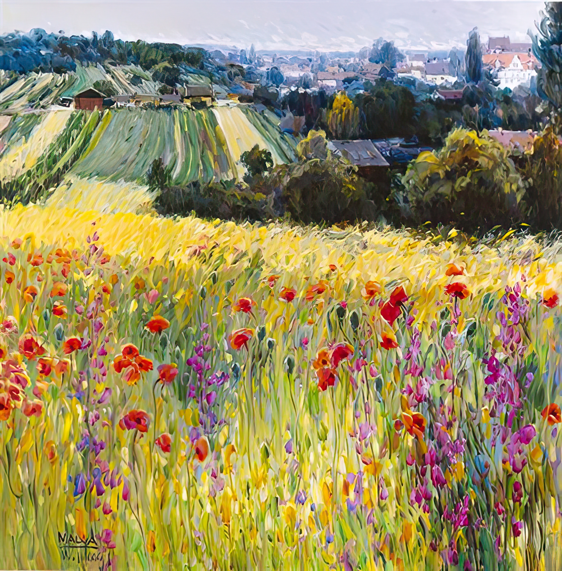 Wild Poppy View