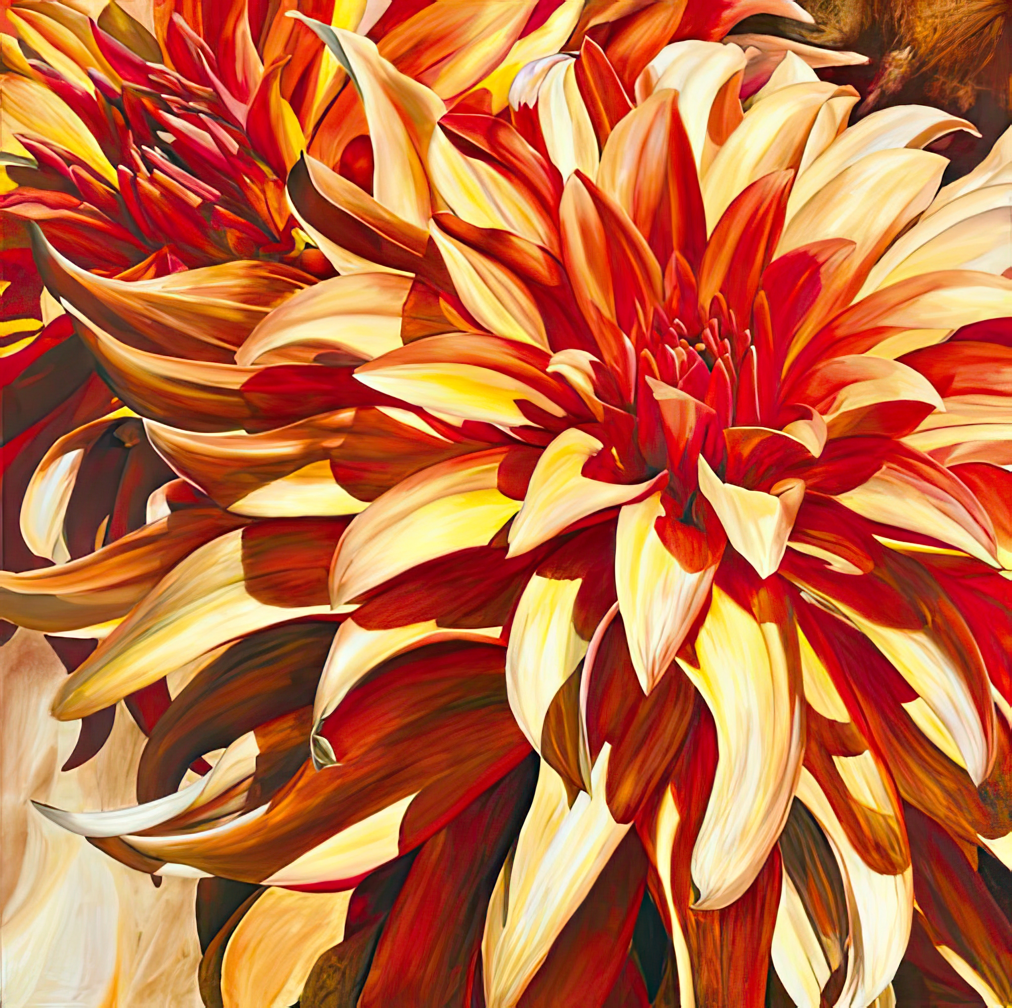 Sun Dahlia