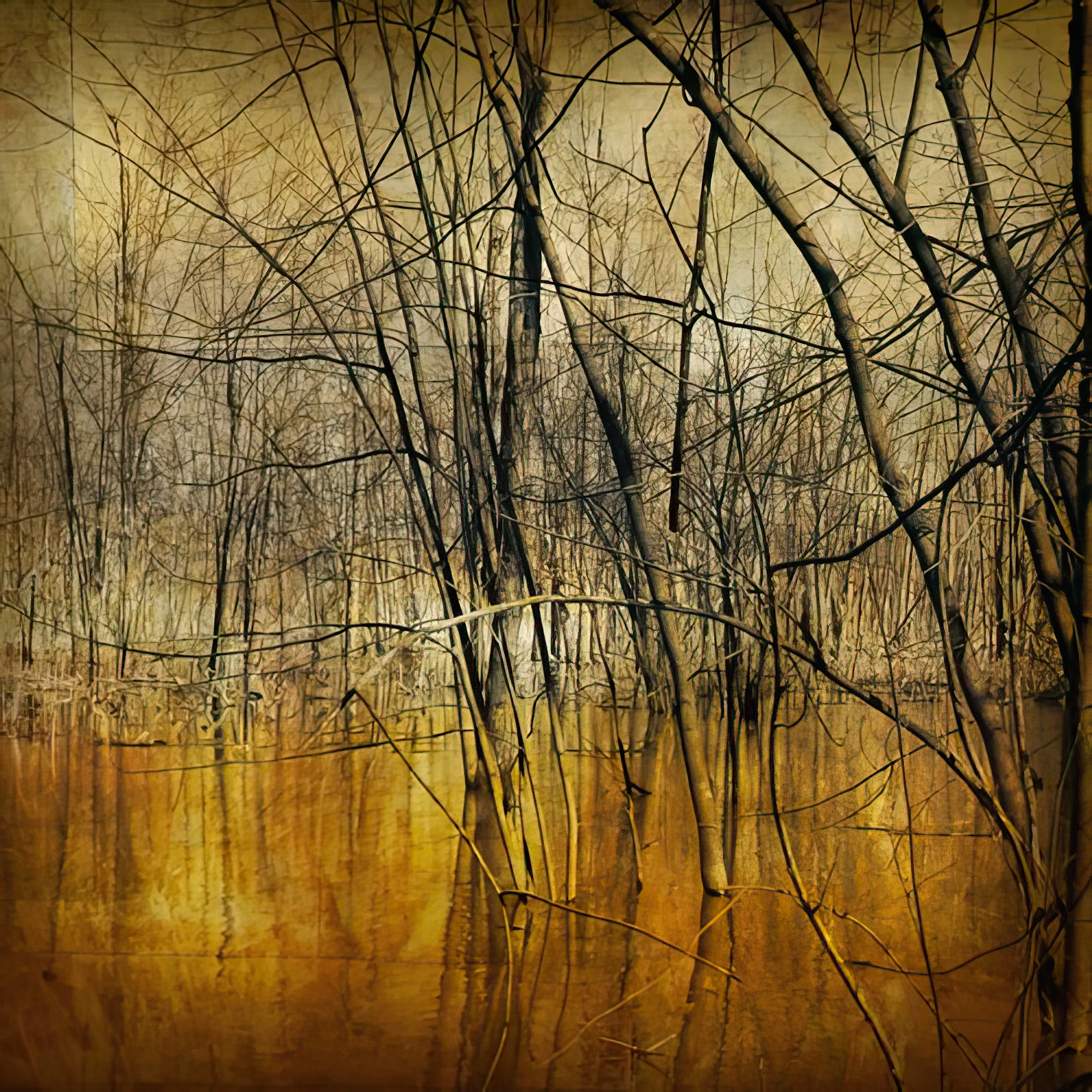 Waterlands