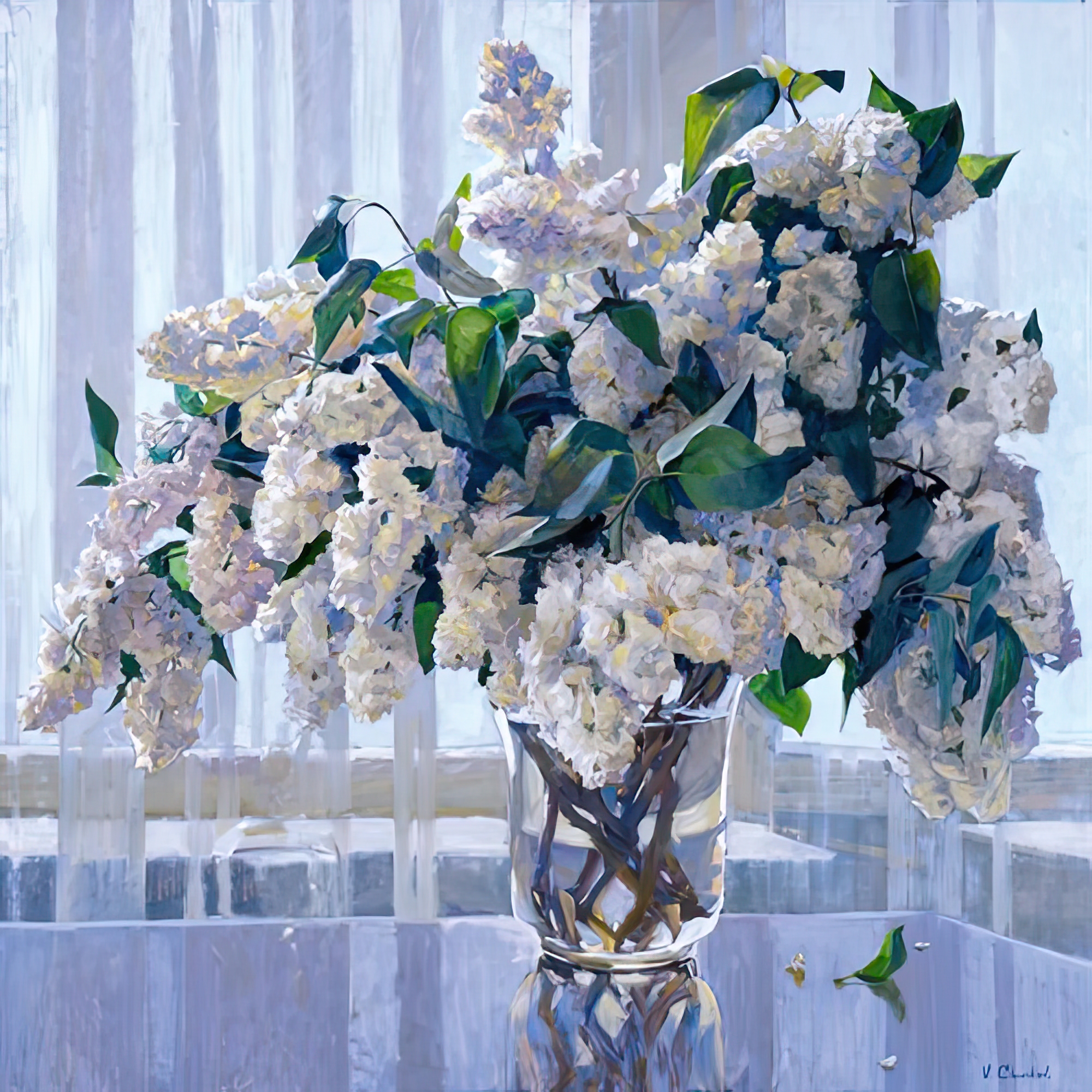 White Lilac