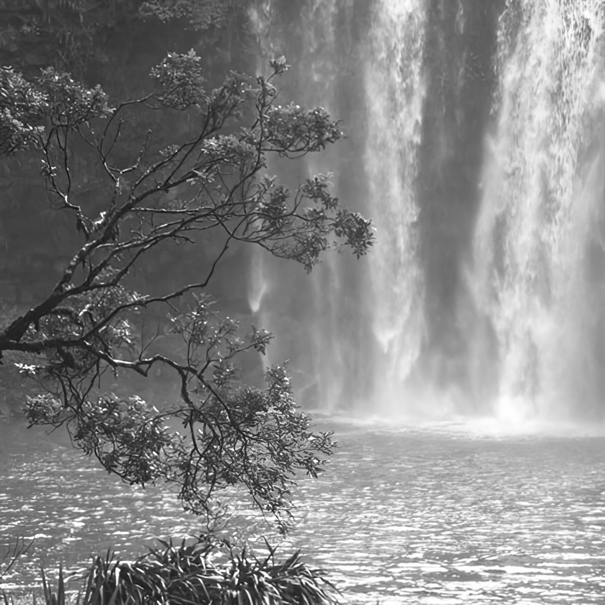 Cascade Calm