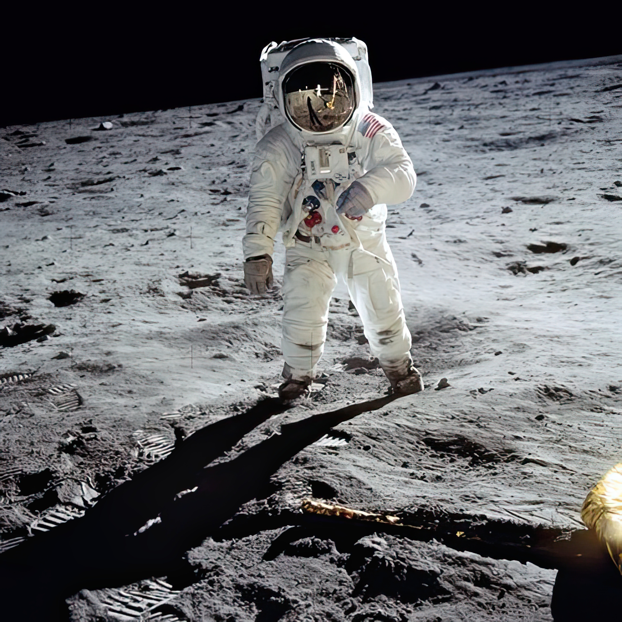 Buzz on the Moon