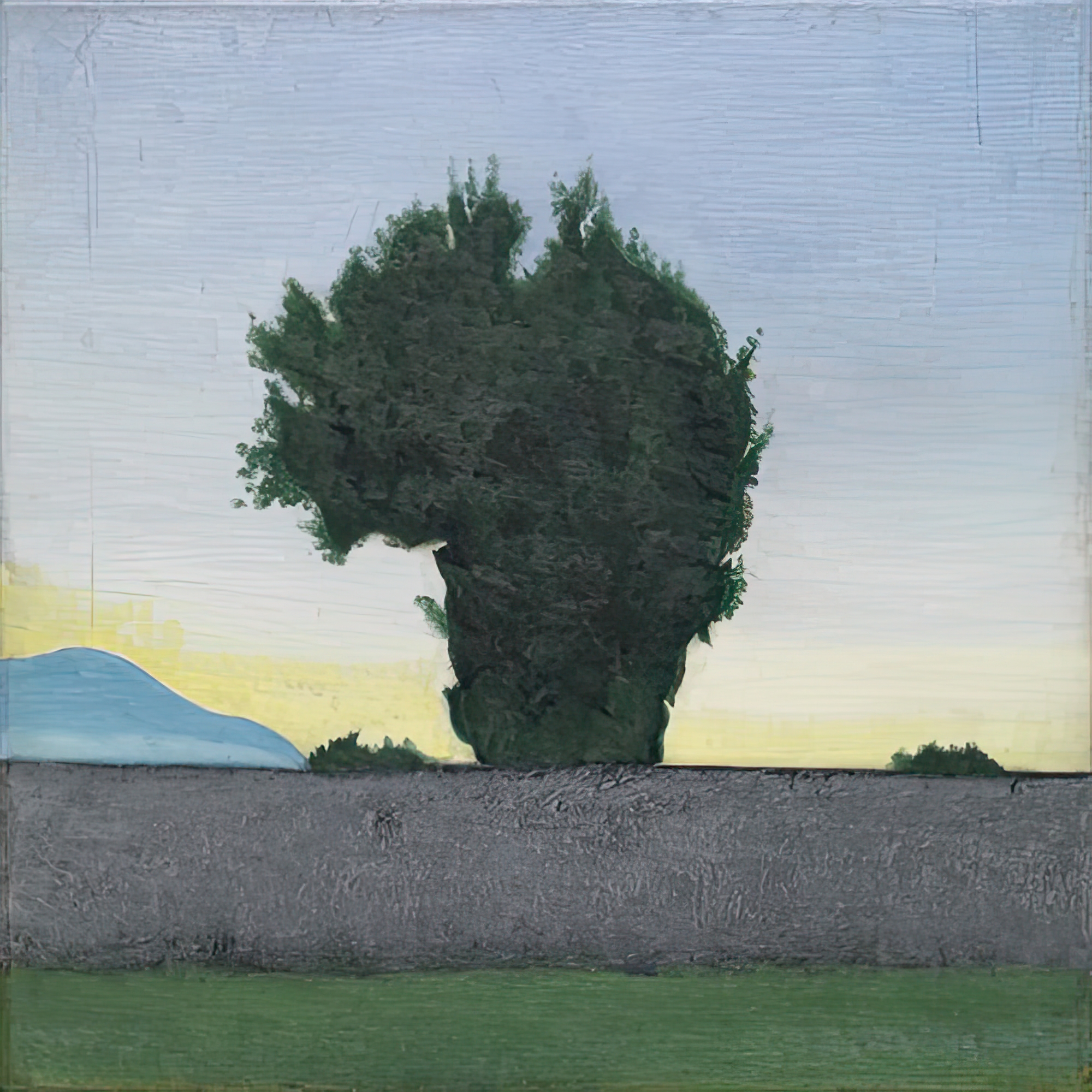 First Light