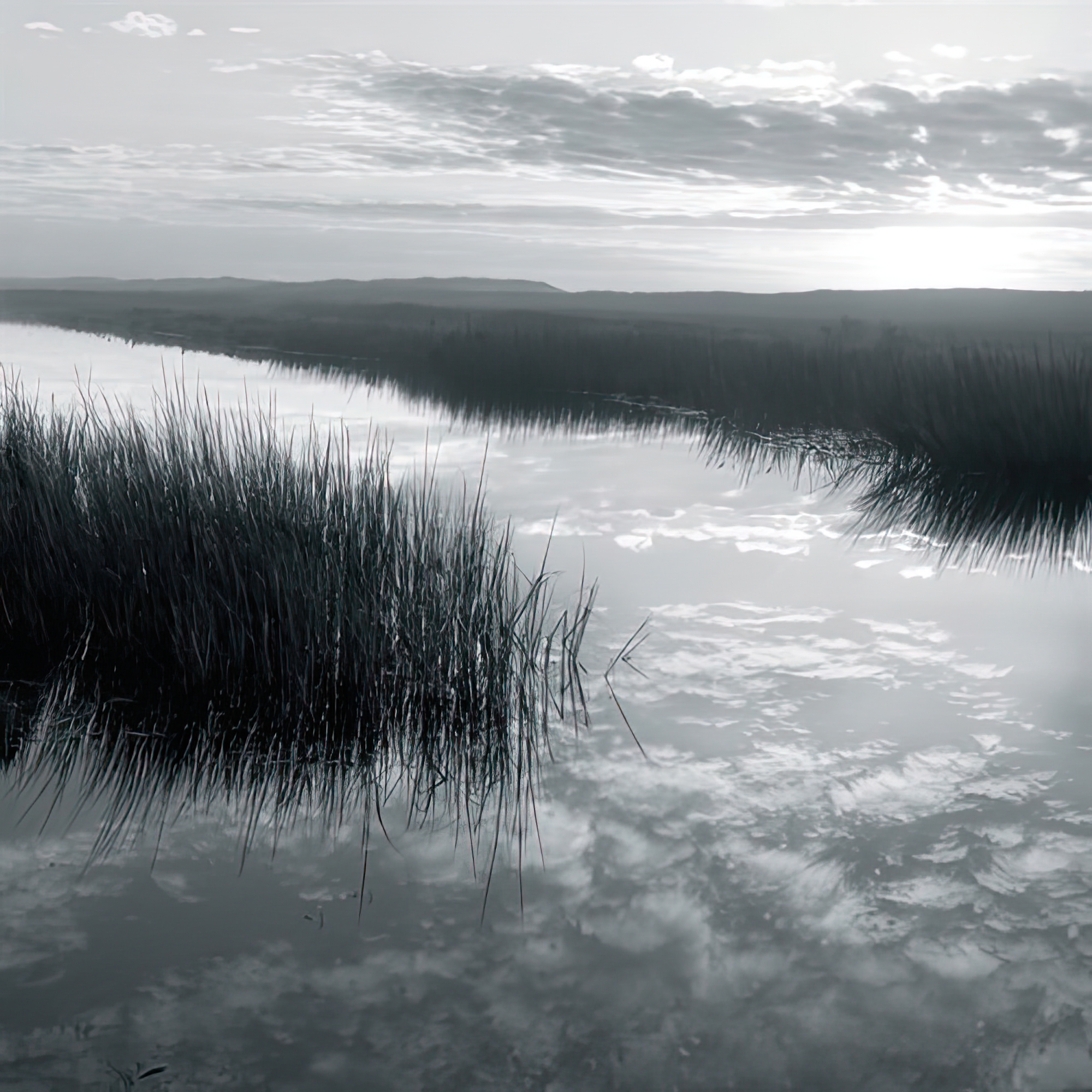 Salt Marsh Reflections