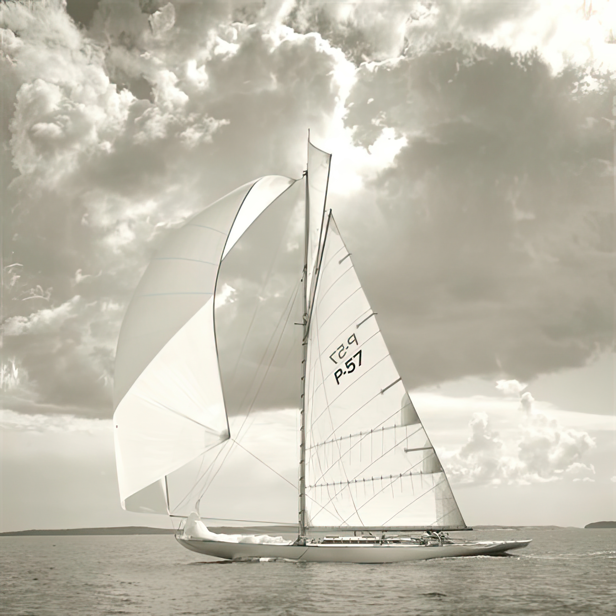 Sunlit Sails I