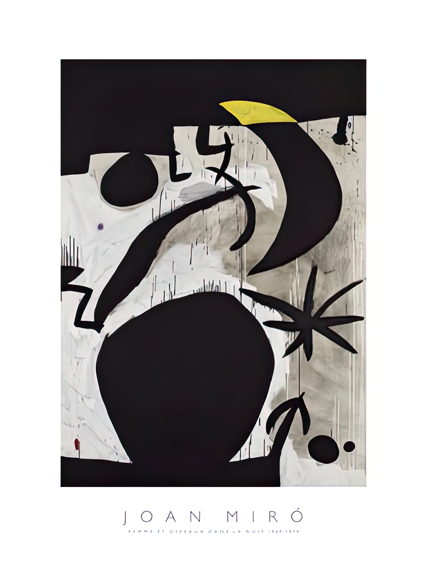 Femme et Oiseaux Dans la Nuit, 1969 - 74