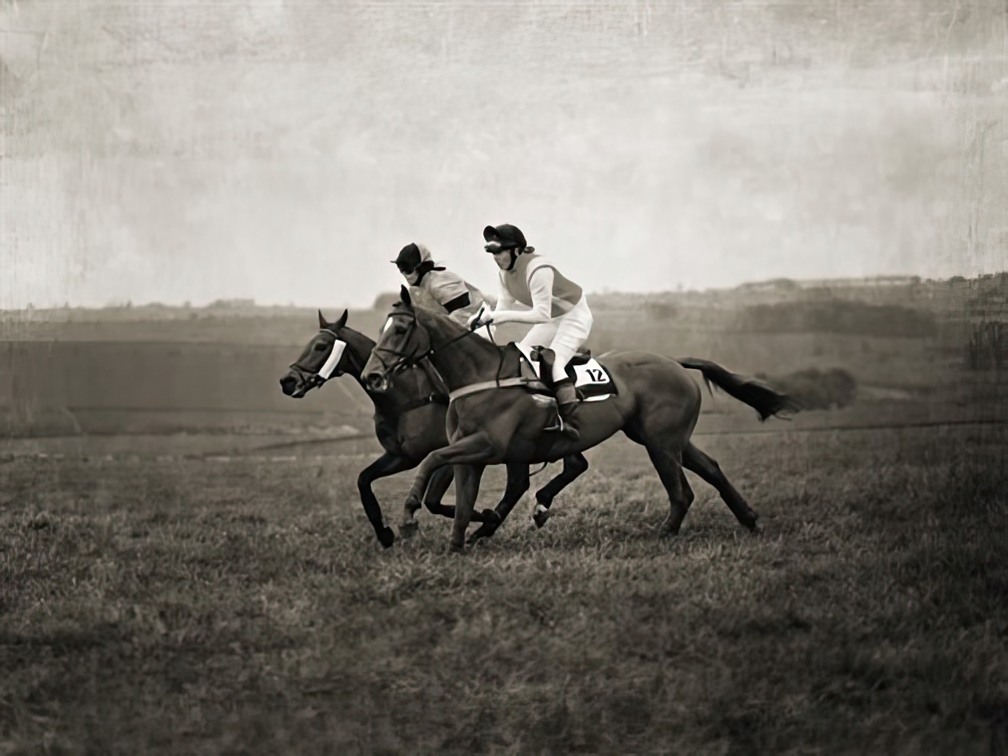 The Back Straight