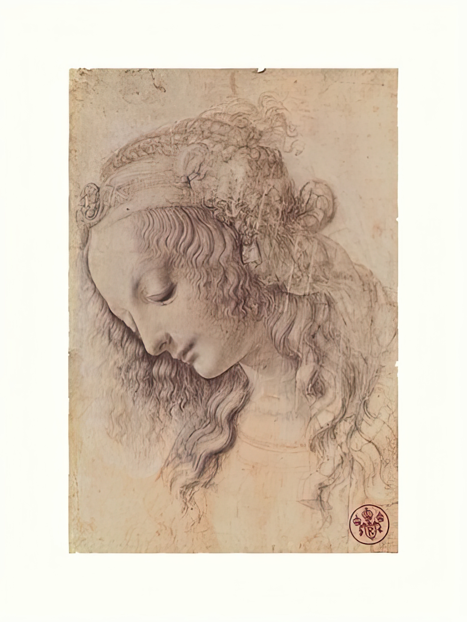 Testa Di Donna Di Profilo (Head of a Woman in Profile), late 15th century