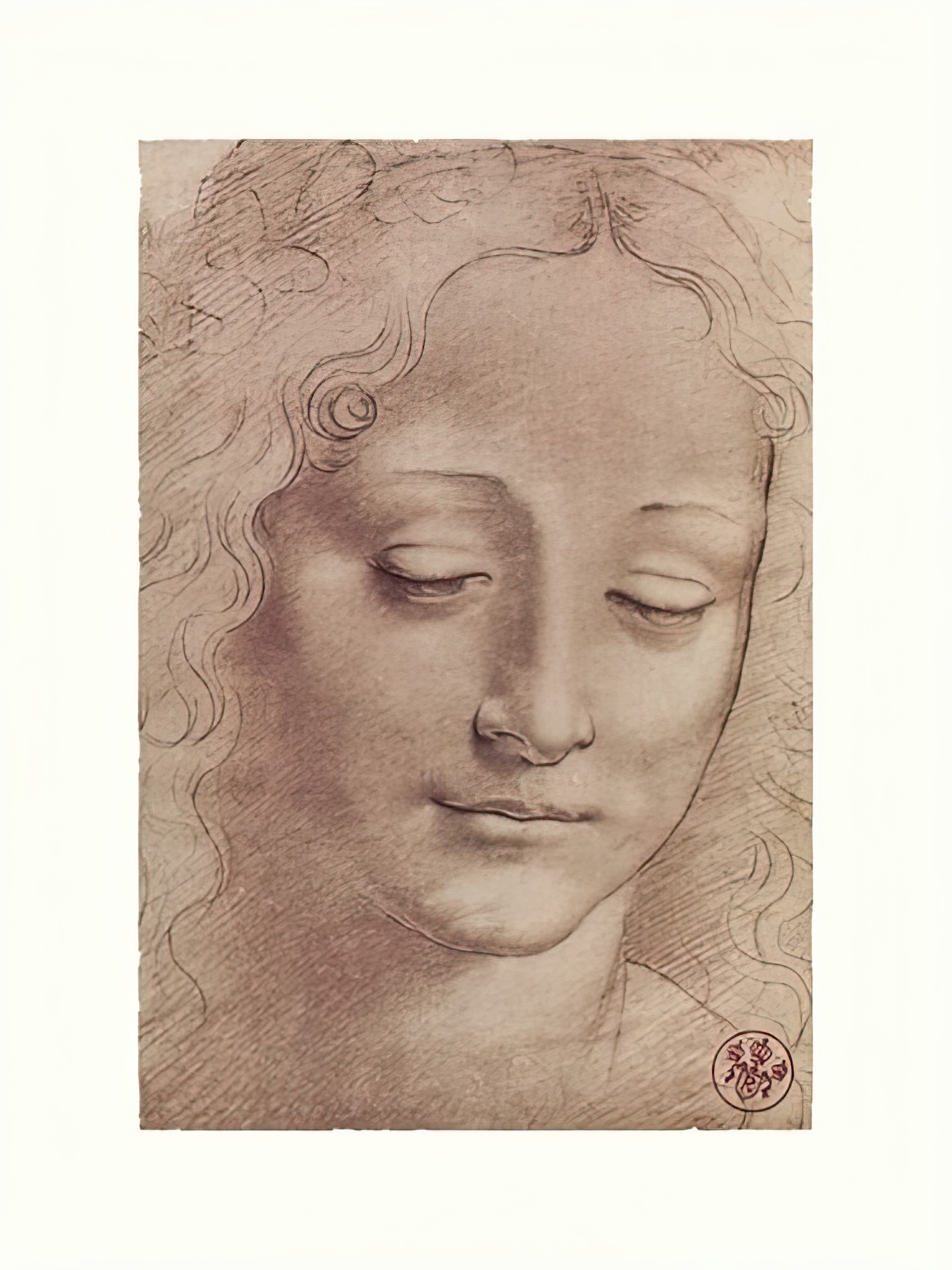 Testa di Giovinetta (Head of a Young Girl), late 15th century