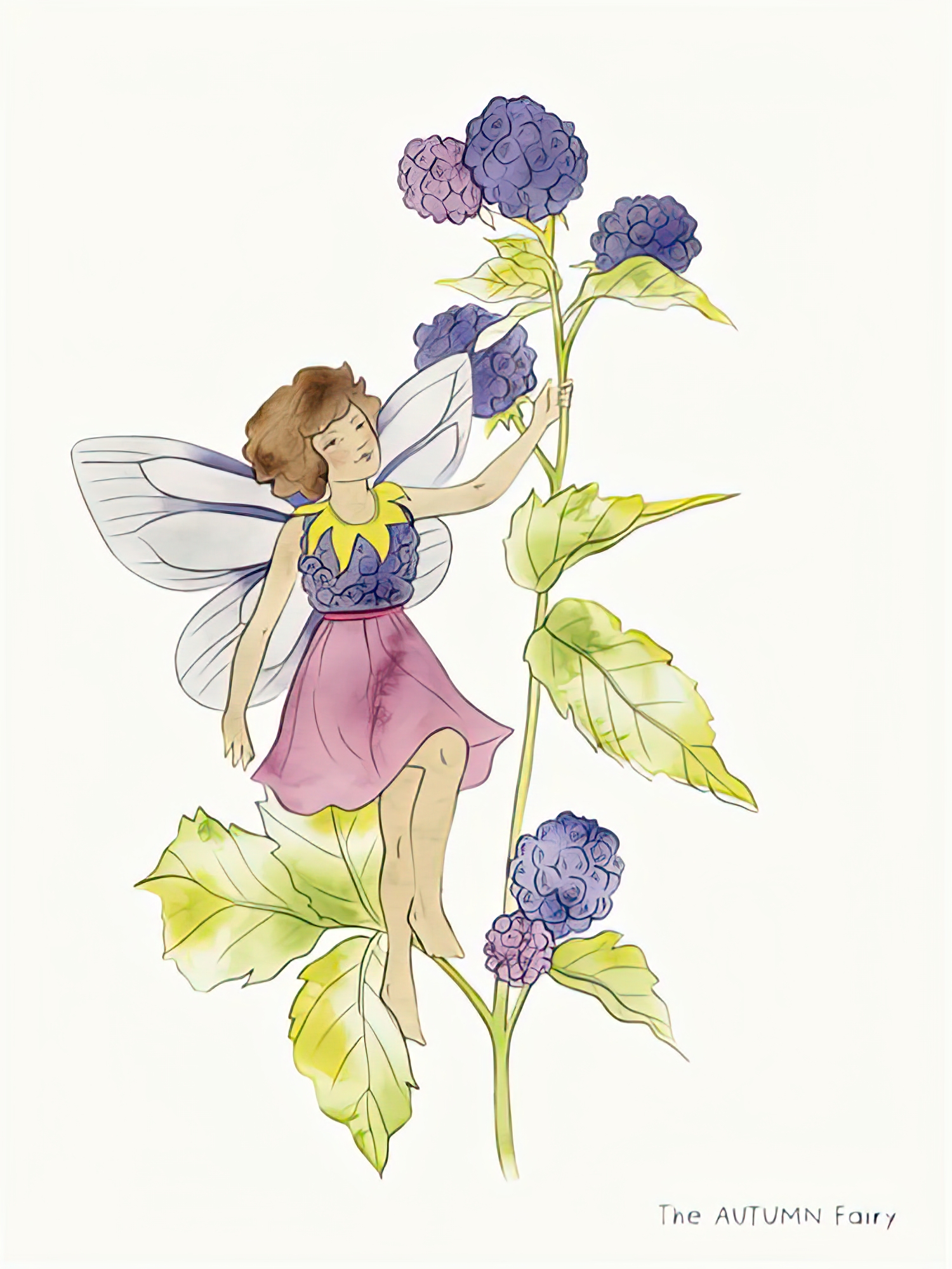 The Autumn Fairy