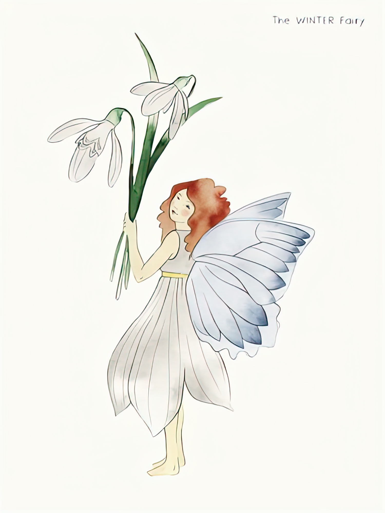 The Winter Fairy