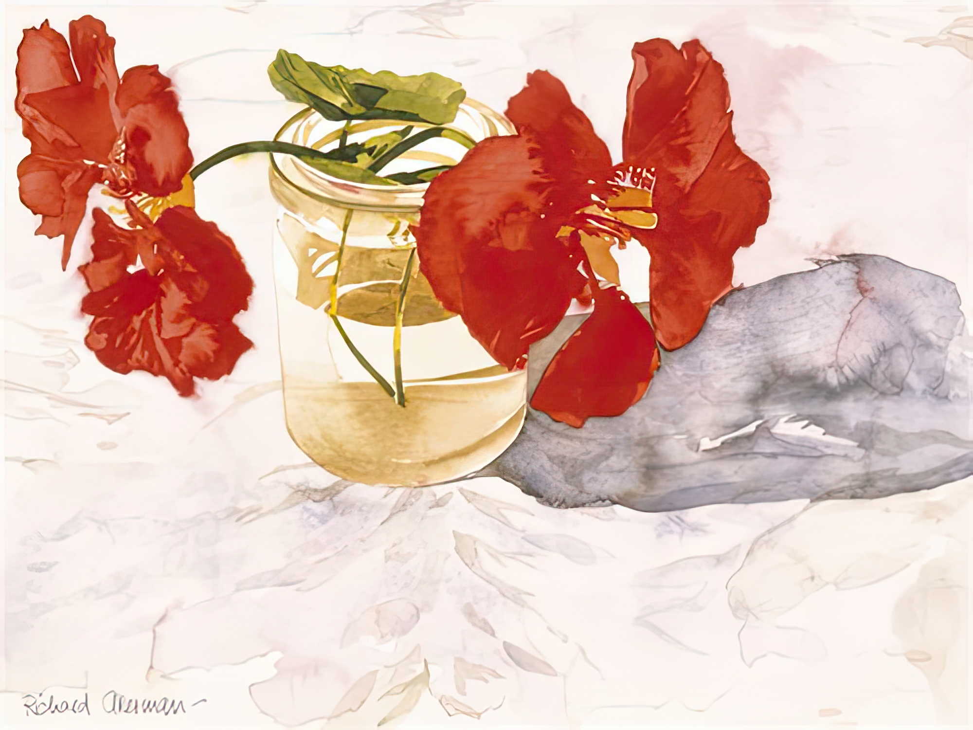 Nasturtiums