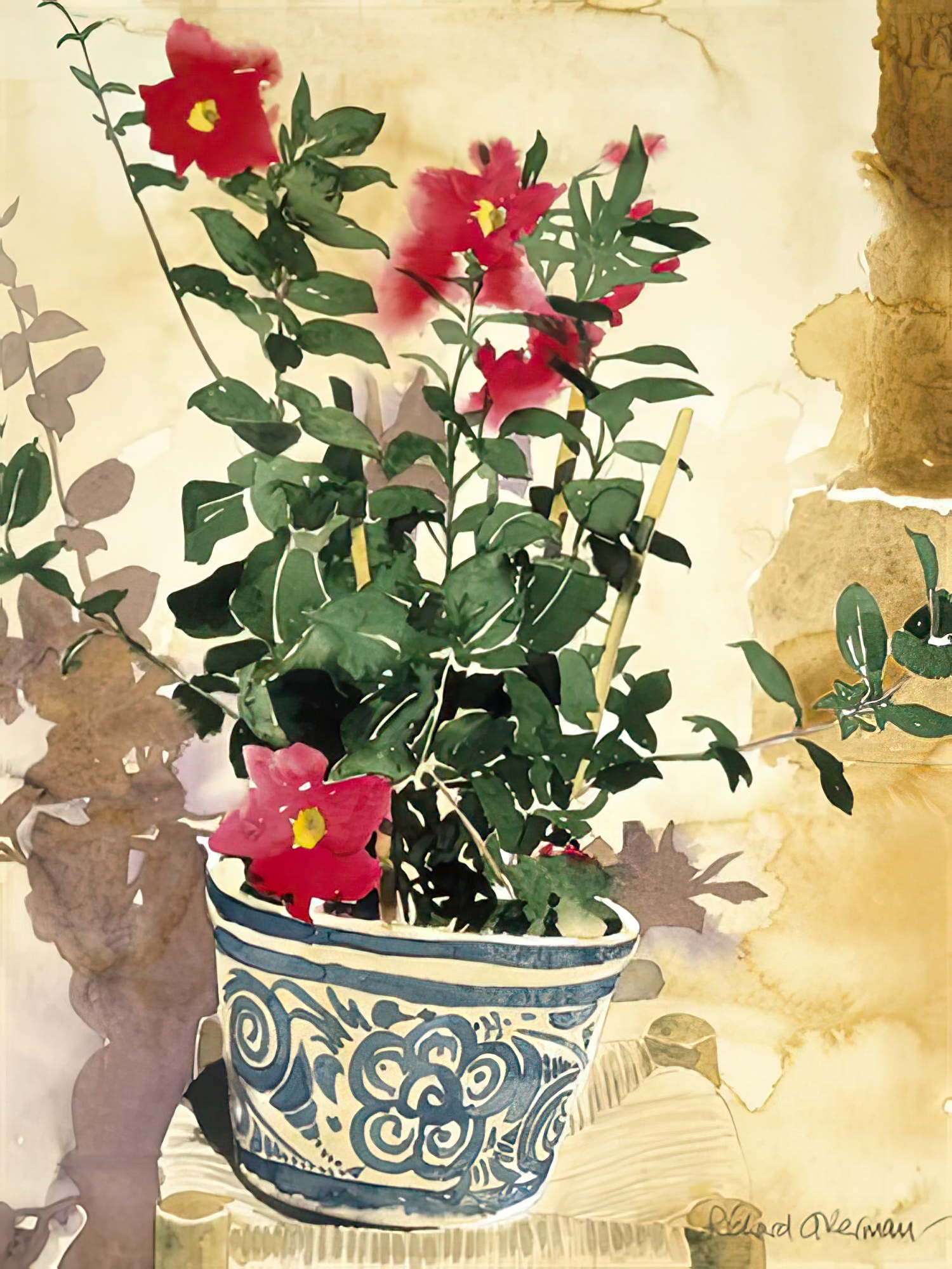 Red Plant in Pot