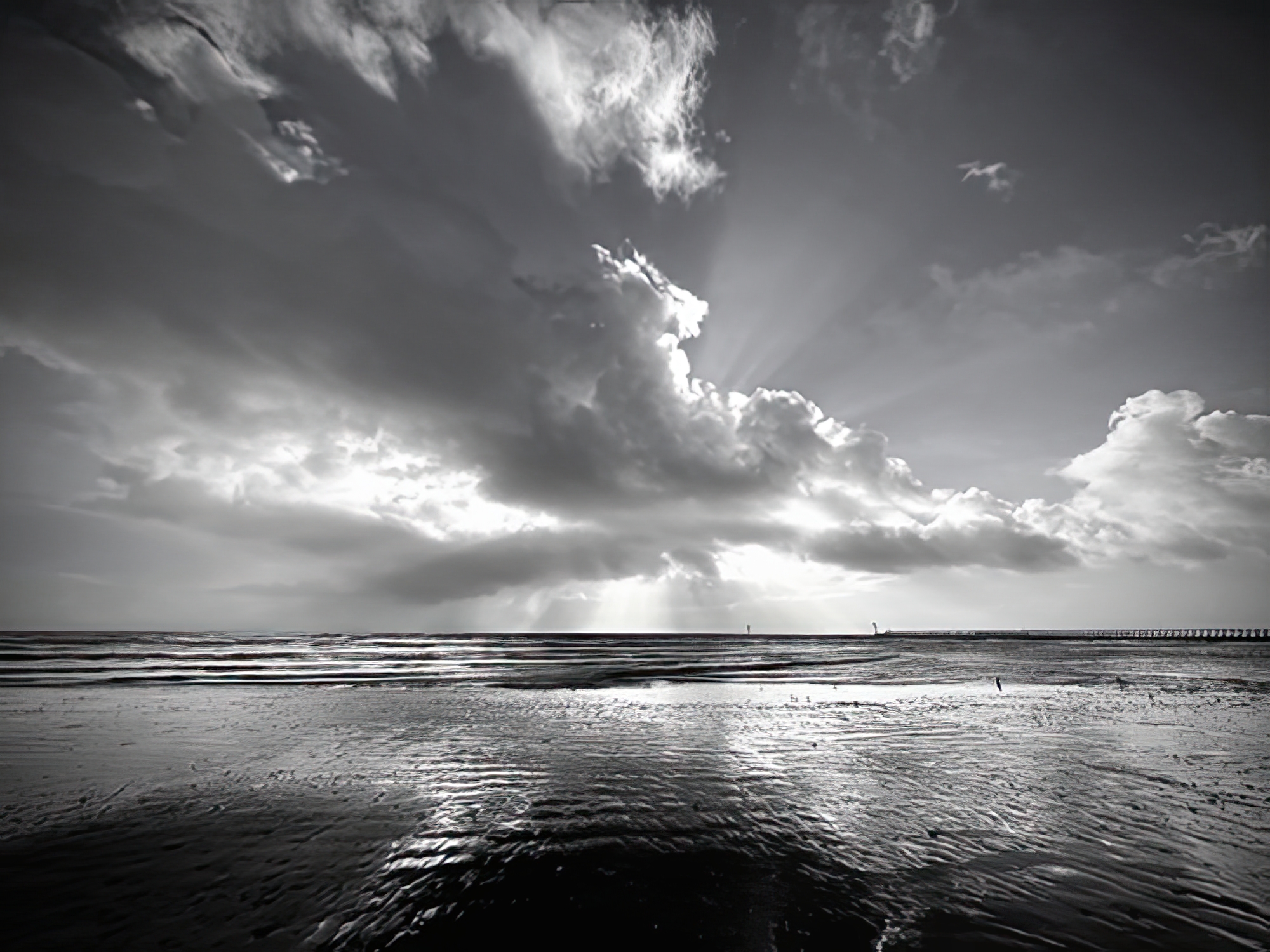 Monochrome Marine