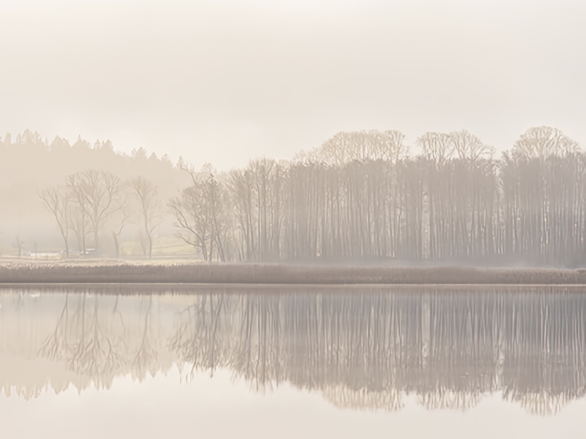 Whispering Waters - Reflect