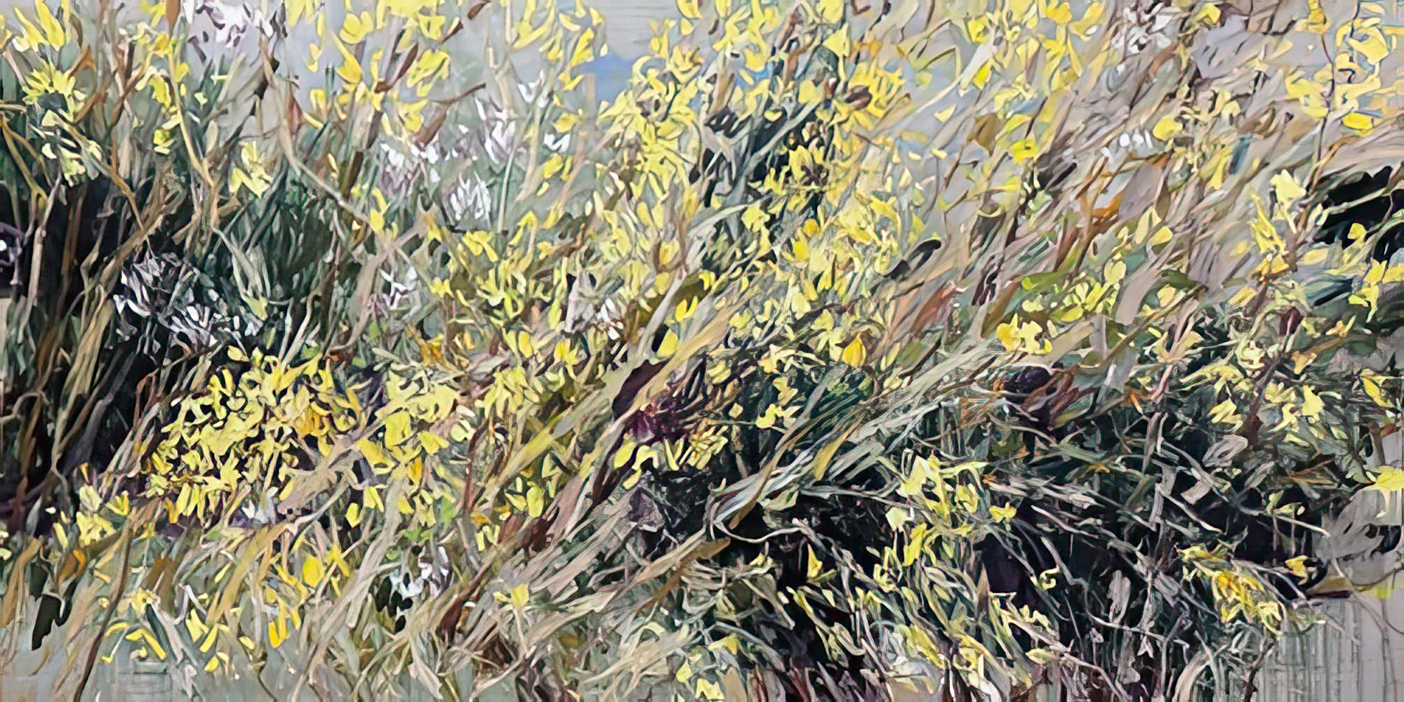 Forsythia Golden Bells