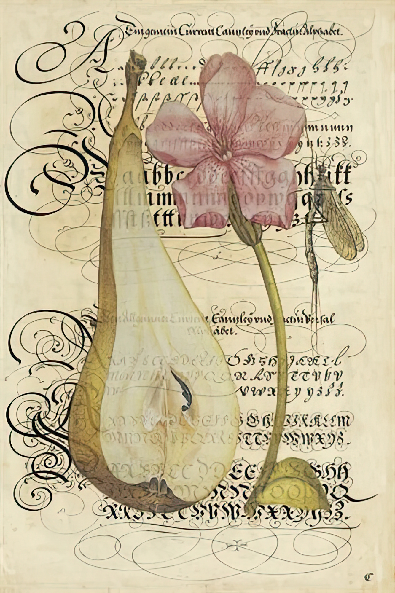 Floral Manuscript I