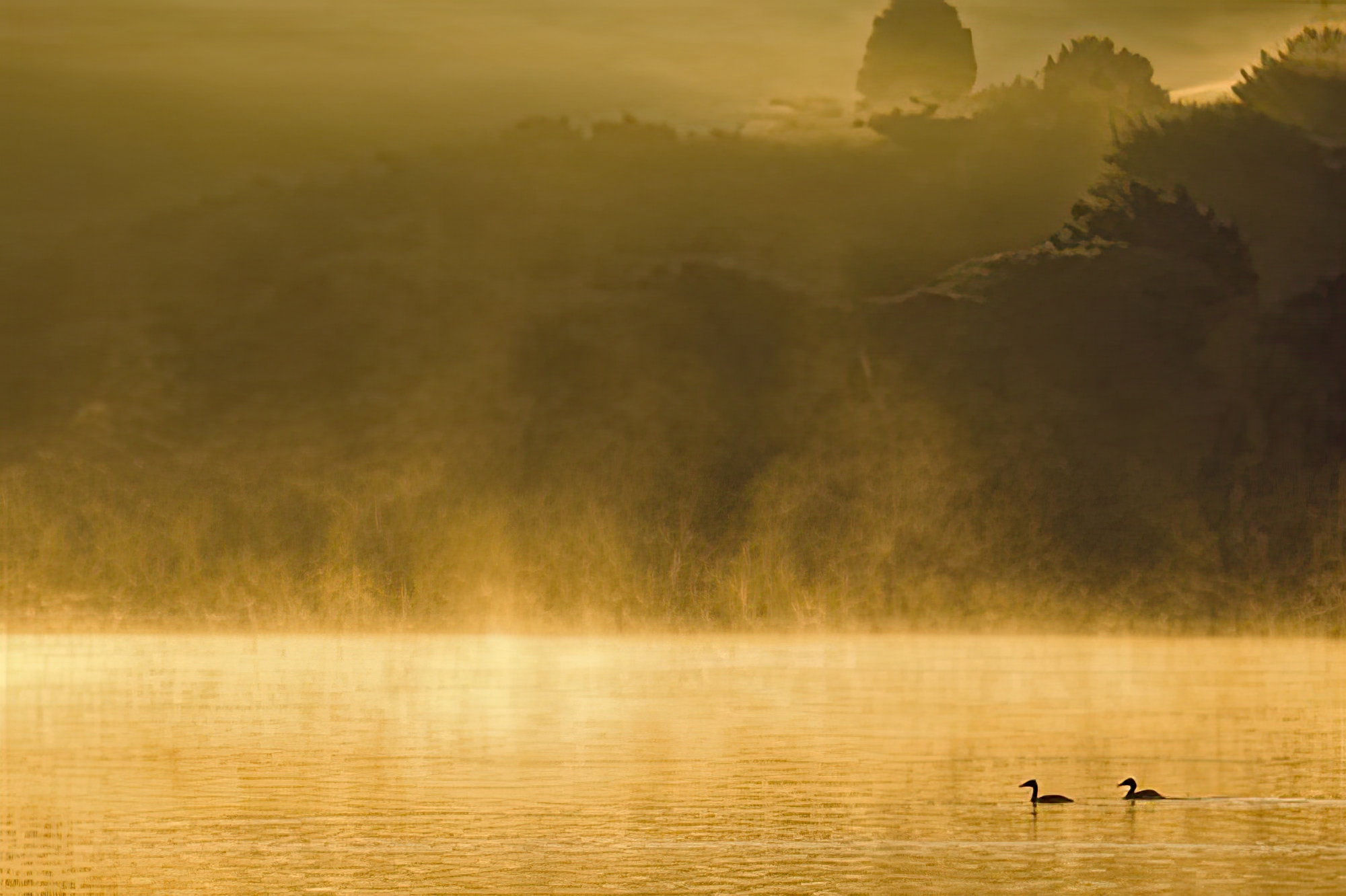 Mystic Dawn - Duet
