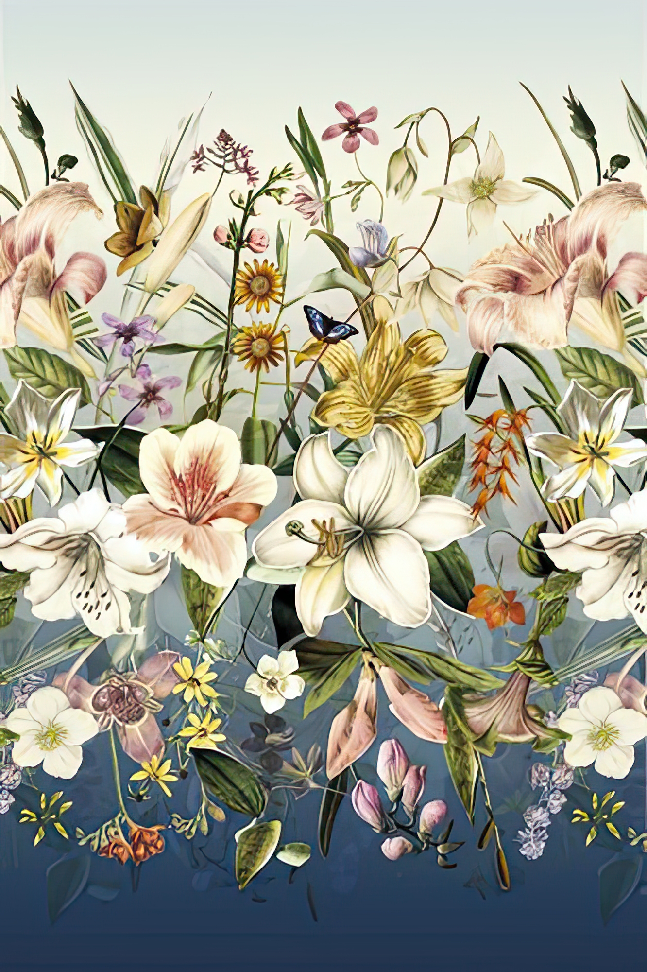 Orchids in Bloom