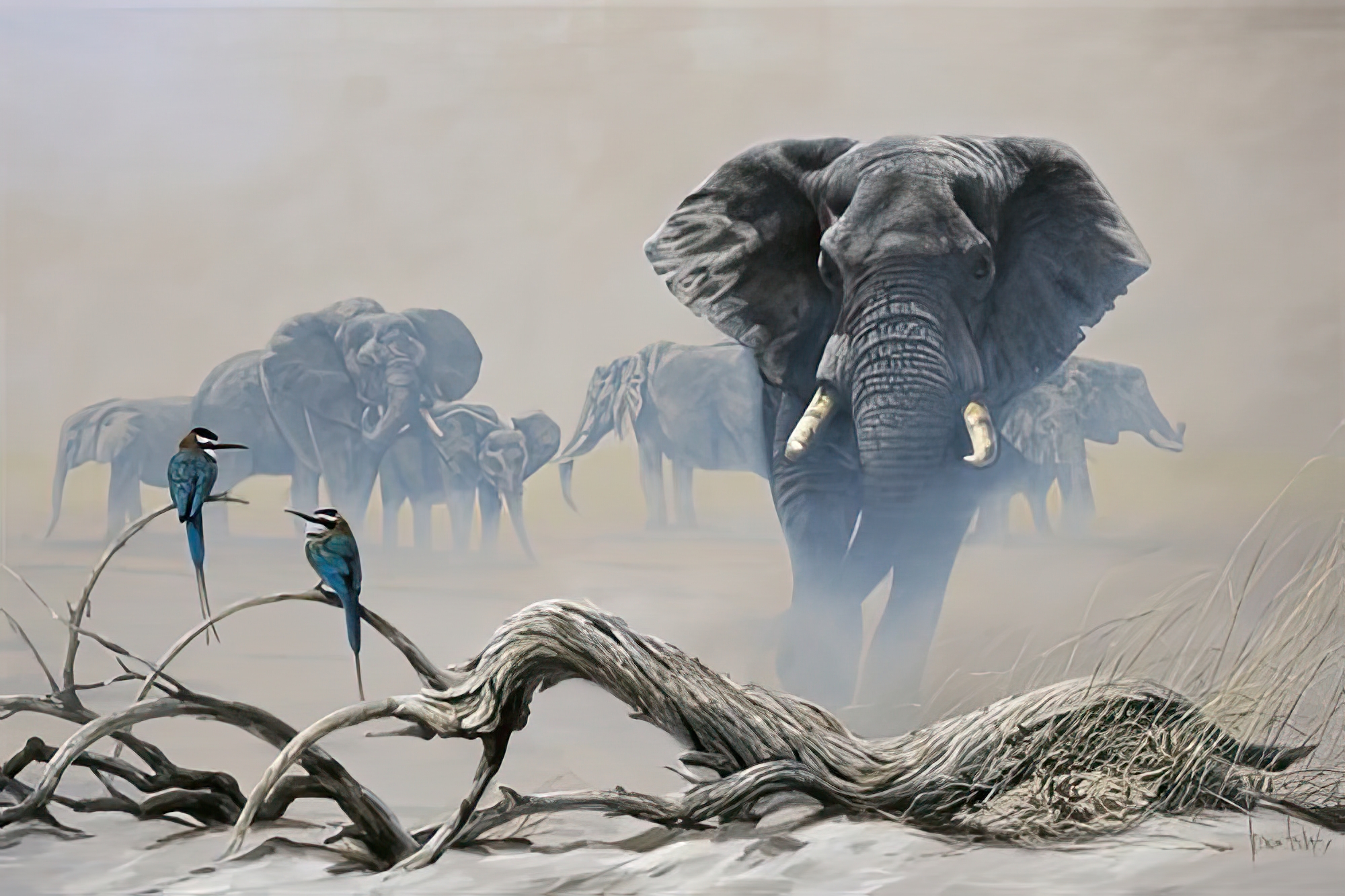 Away from the Herd