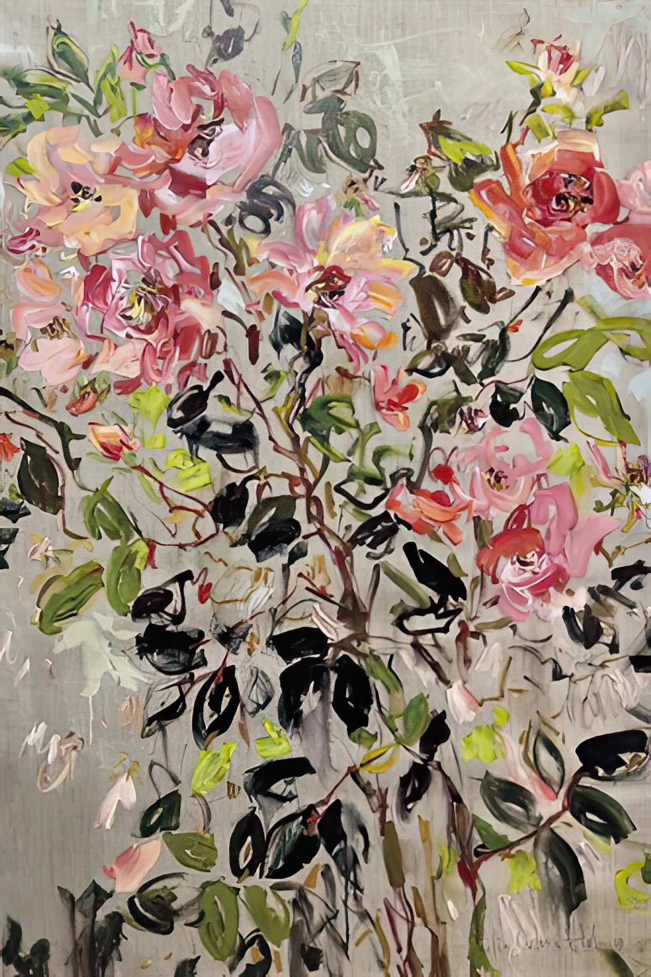 Midsummer Rose