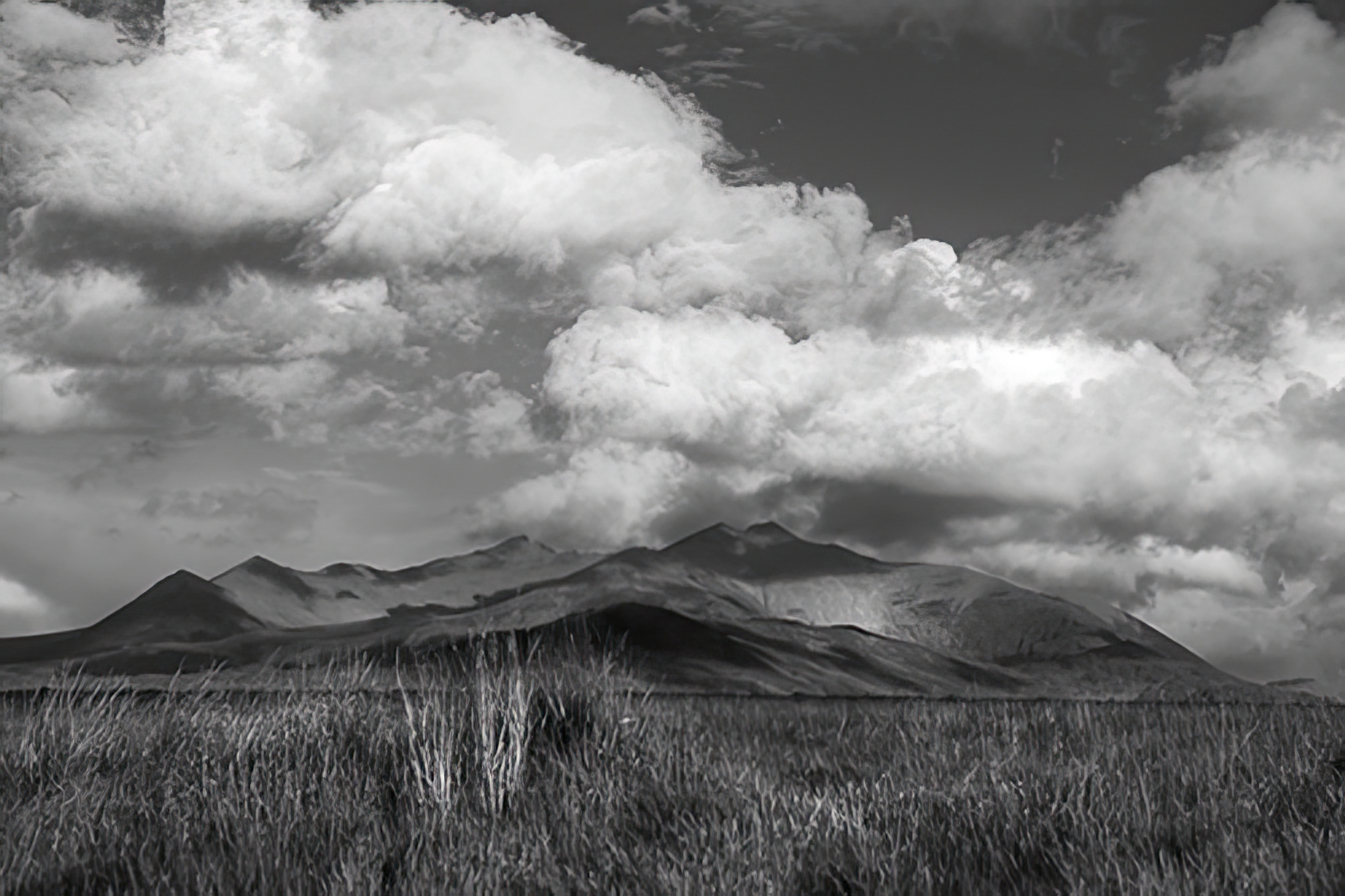 Mountain Milieu