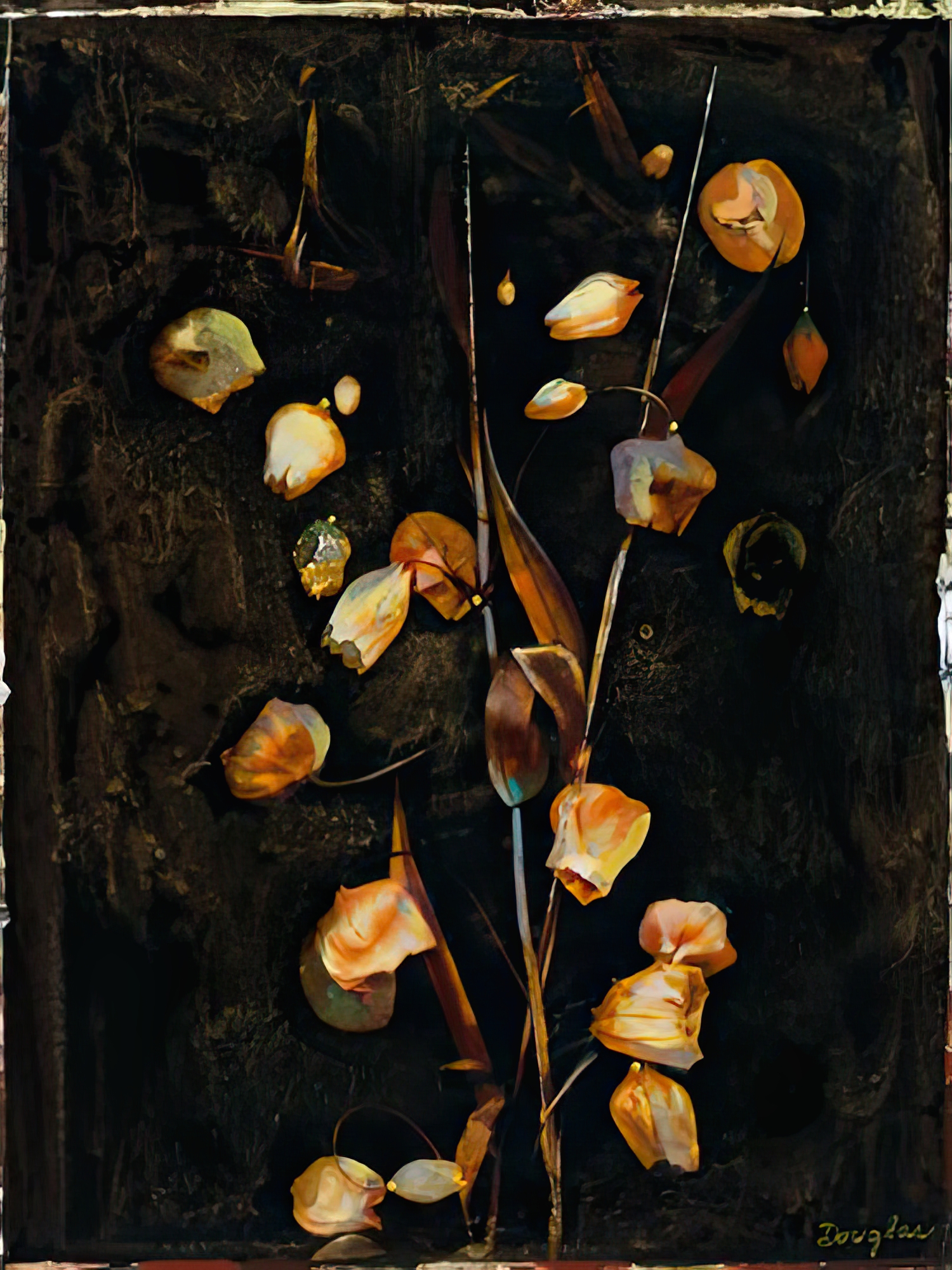 Floral Negative III