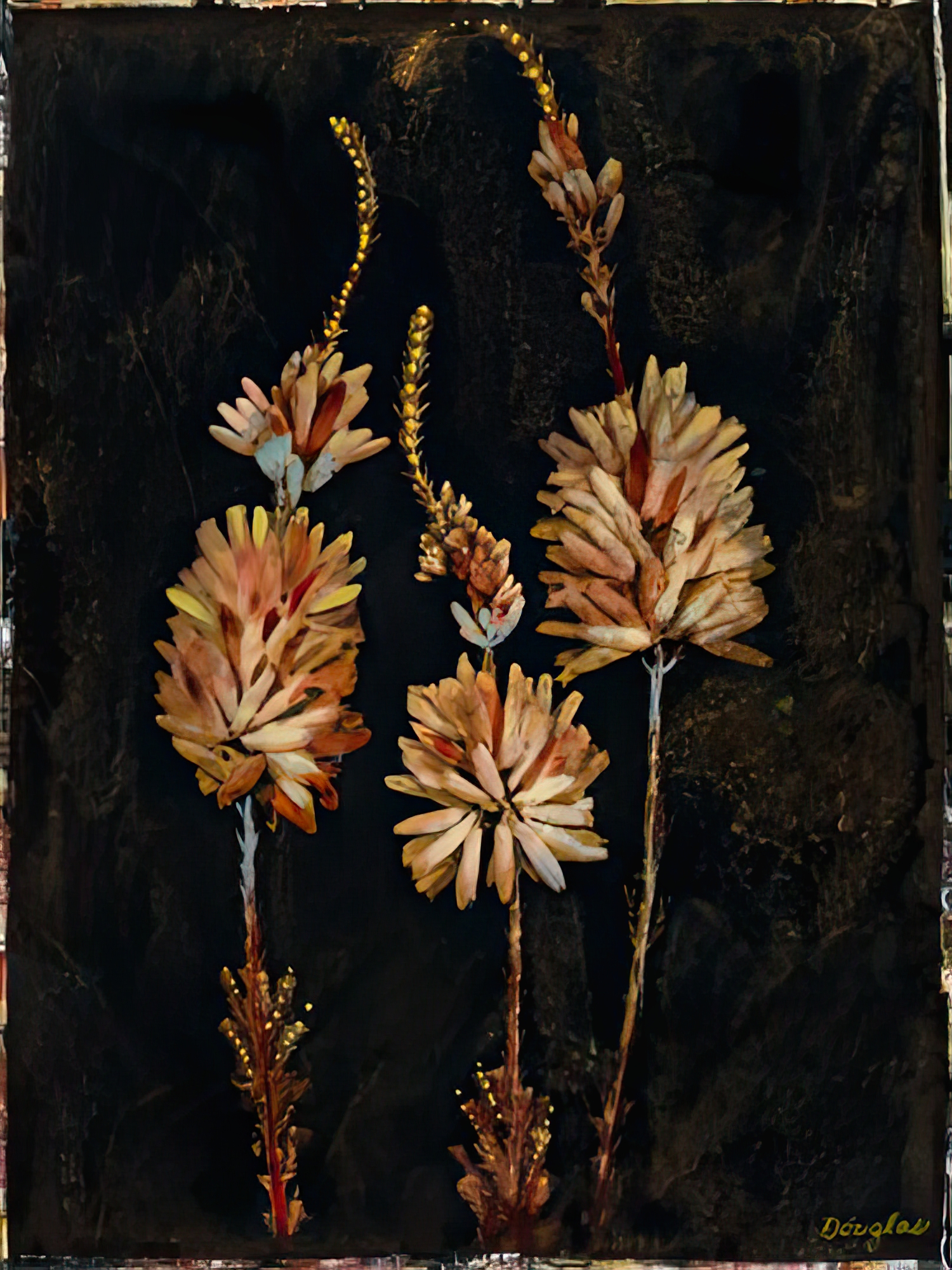Floral Negative IV