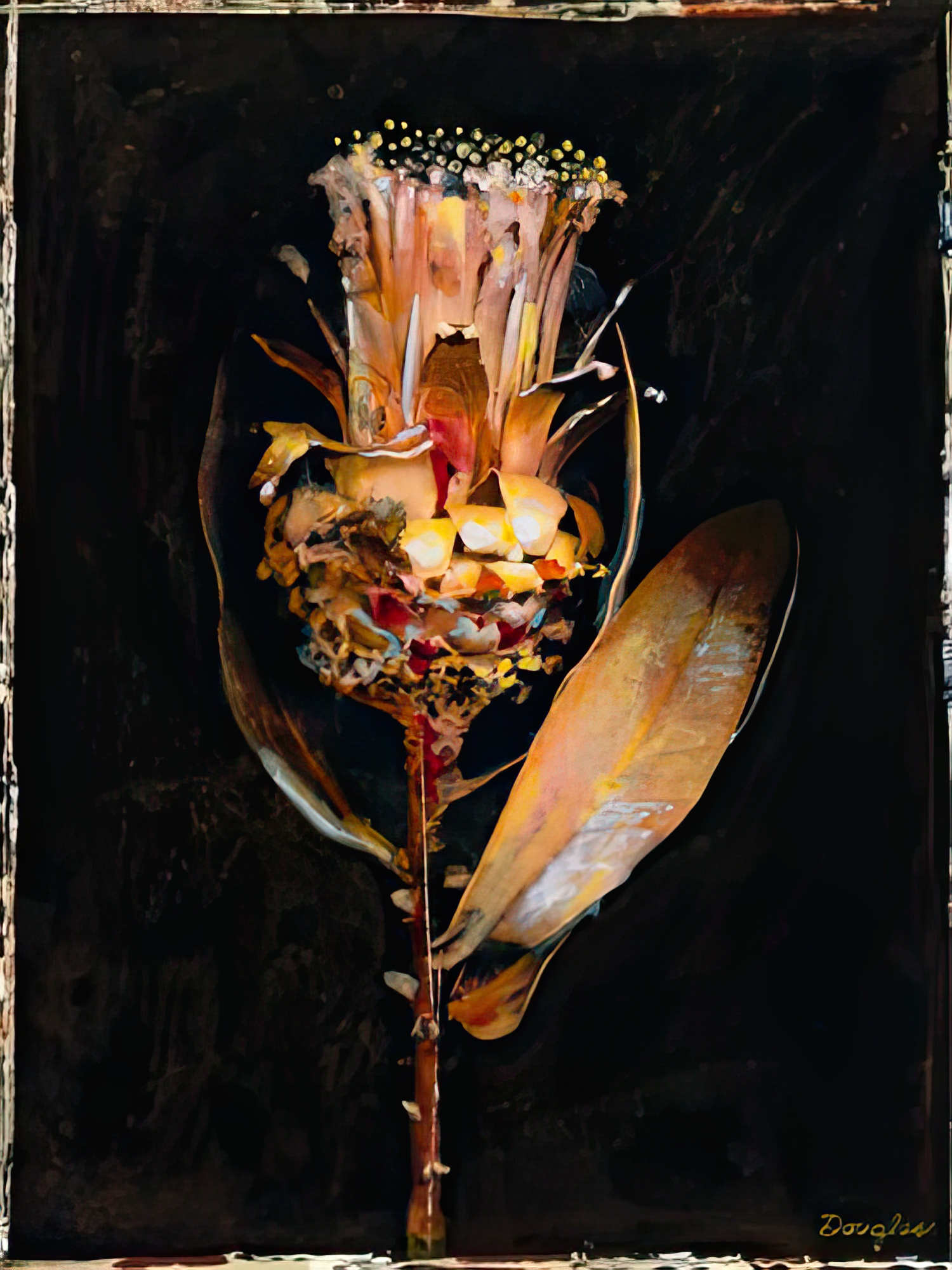 Floral Negative V