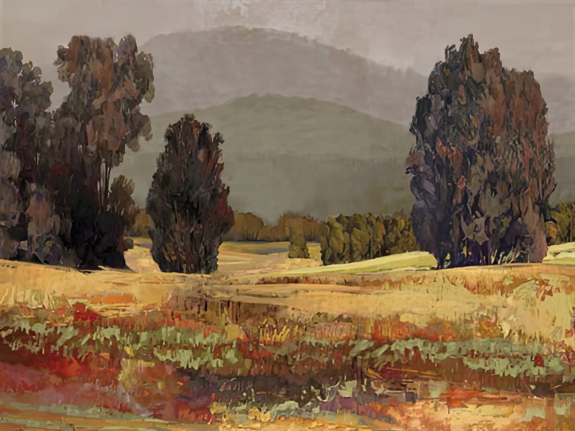 Country Reflection - Walk
