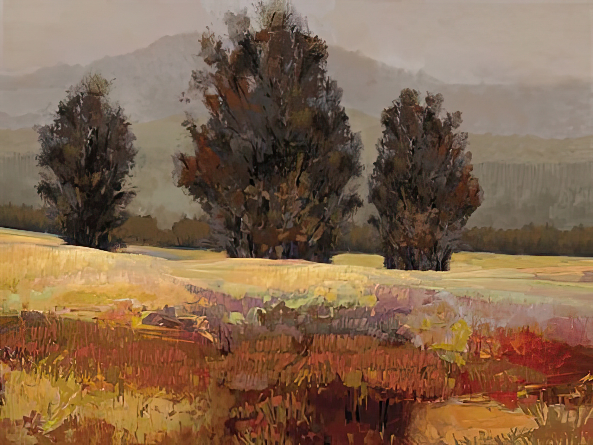 Country Reflection - Stroll