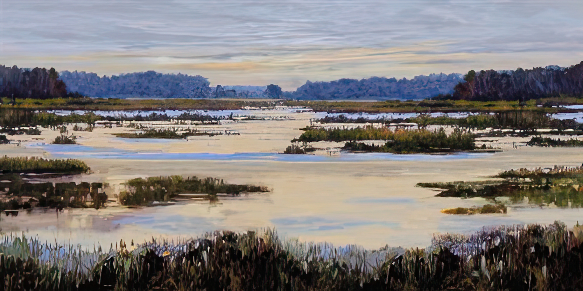 Calm Marshes