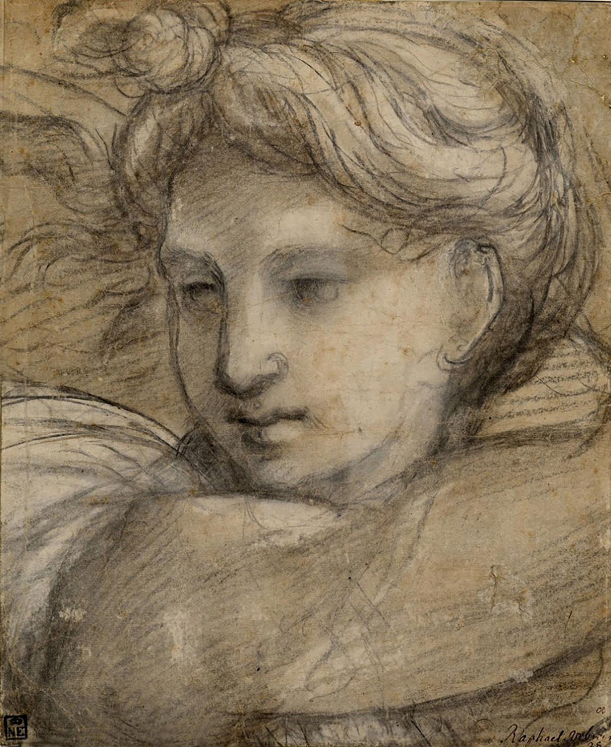 Head of an Angel, c. 1519-20