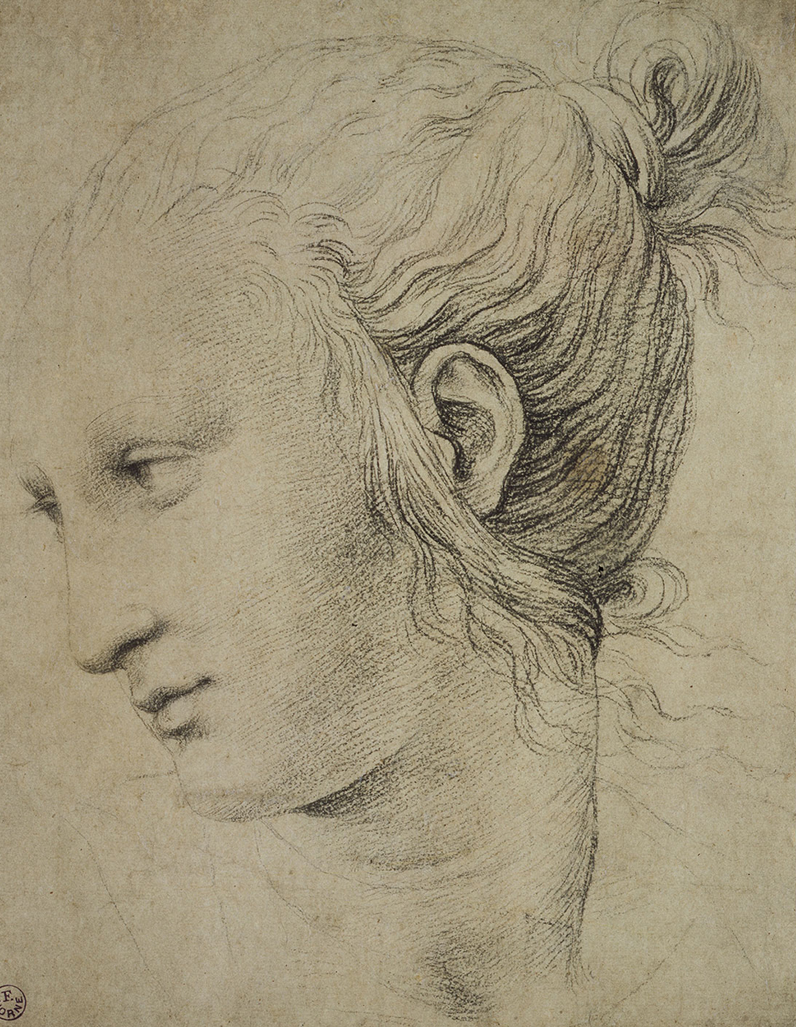 Testa di Musa, 1510