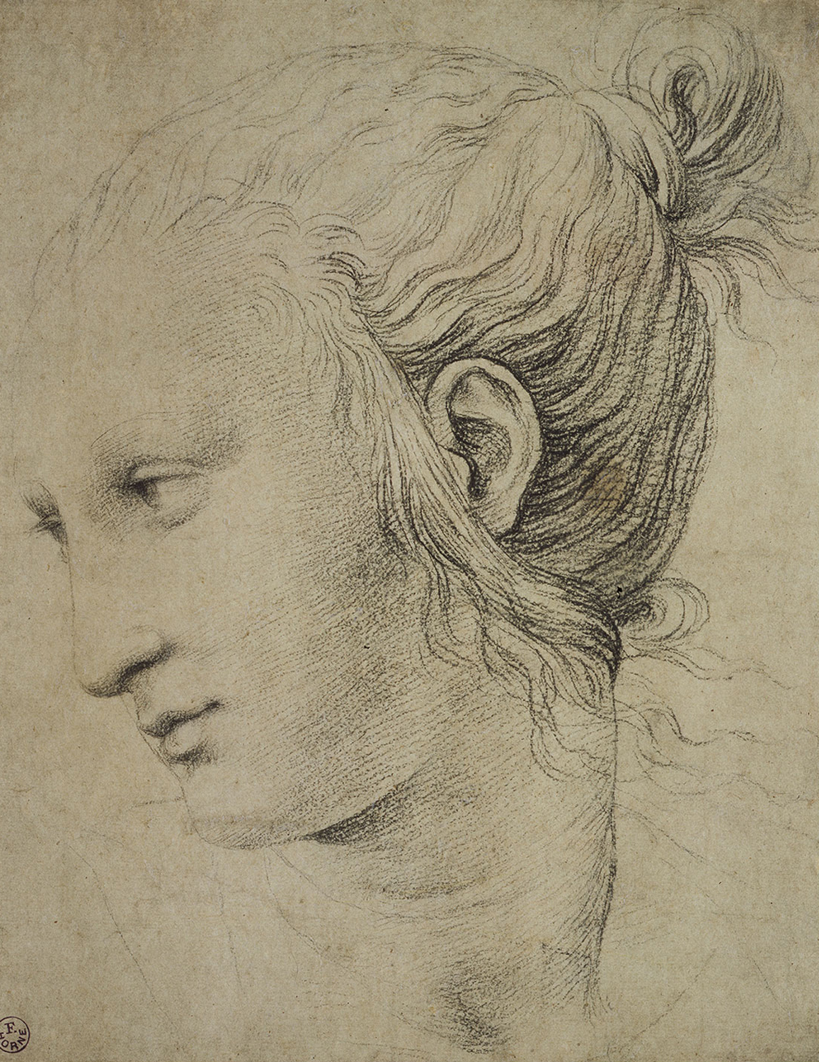 Head of a Woman, c. 1510