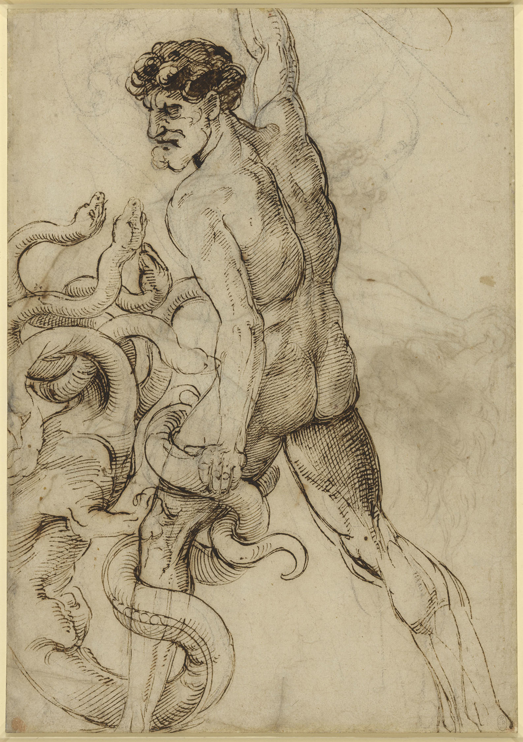 Hercules and the Hydra, c. 1508