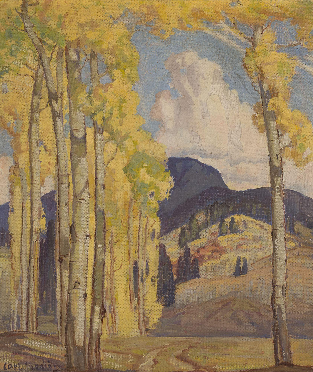 Aspen Trees