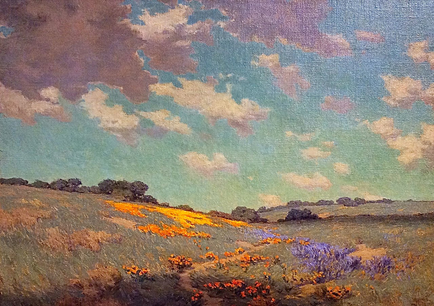 Patch of Poppies, 1912